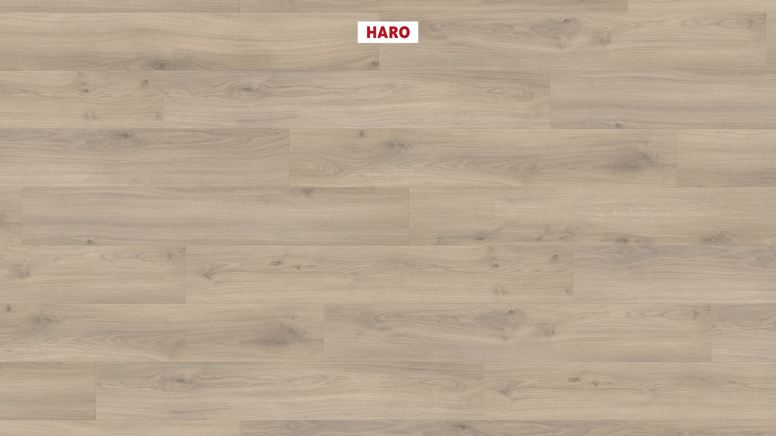 HARO Laminat Eiche Emilia samtgrau authentic soft Landhausdiele 4V | Tritty 100 | 2. Wahl | 15,5 m²-4018427448059 HARO Laminat Eiche Emilia samtgrau authentic soft Landhausdiele 4V | Tritty 100 | 2. Wahl | 15,5 m²-4018427448059