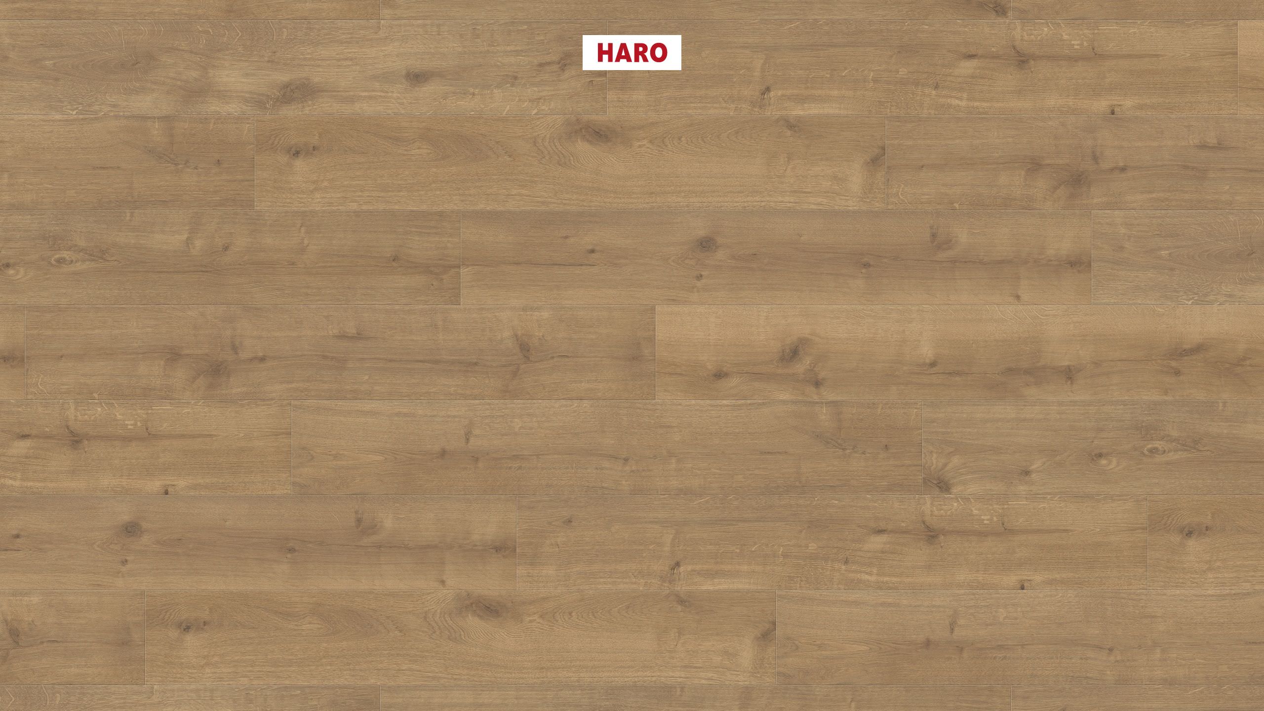 HARO Laminat Eiche Savona natur soft matt Landhausdiele 4V | Sonderedition NKL 31 | 13 m²-# guenstig bei bodenverkauf.de kaufen HARO Laminat Eiche Savona natur soft matt Landhausdiele 4V | Sonderedition NKL 31 | 13 m²-#