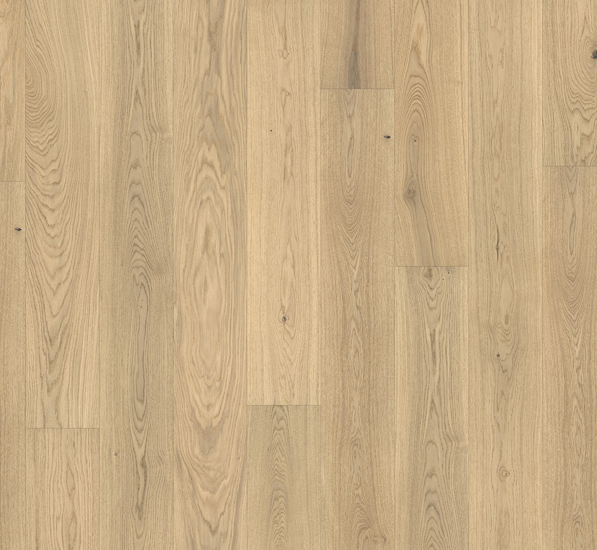 PARADOR Parkett Eiche Pure Landhausdiele lackversiegelt 4-seitige Minifase | Sonderedition | 26,5 m²-#
