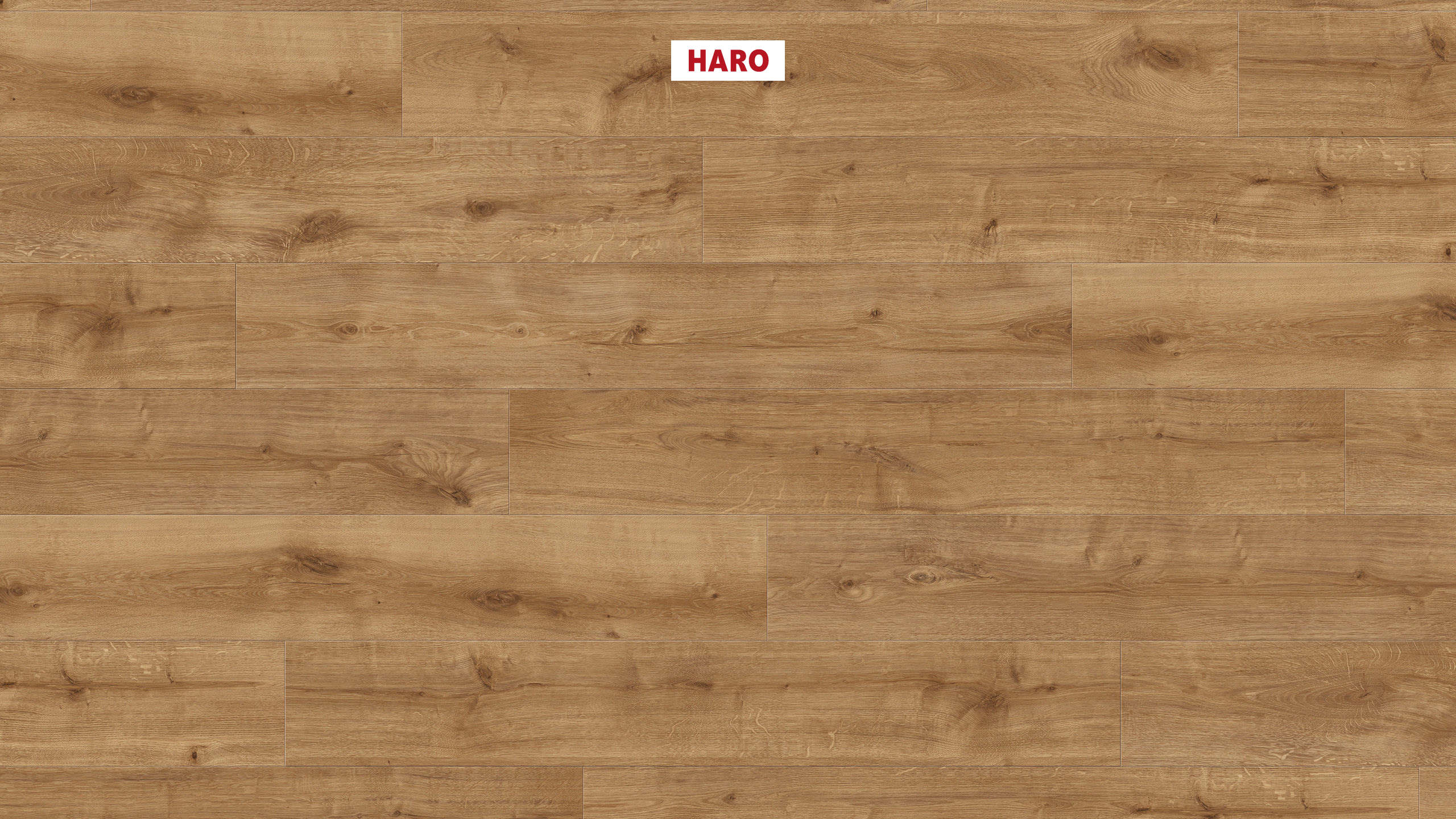 HARO Laminat Eiche Calla natur strukturiert Landhausdiele 4V | Daily Edition | 2. Wahl | 5 m²-4018427472719