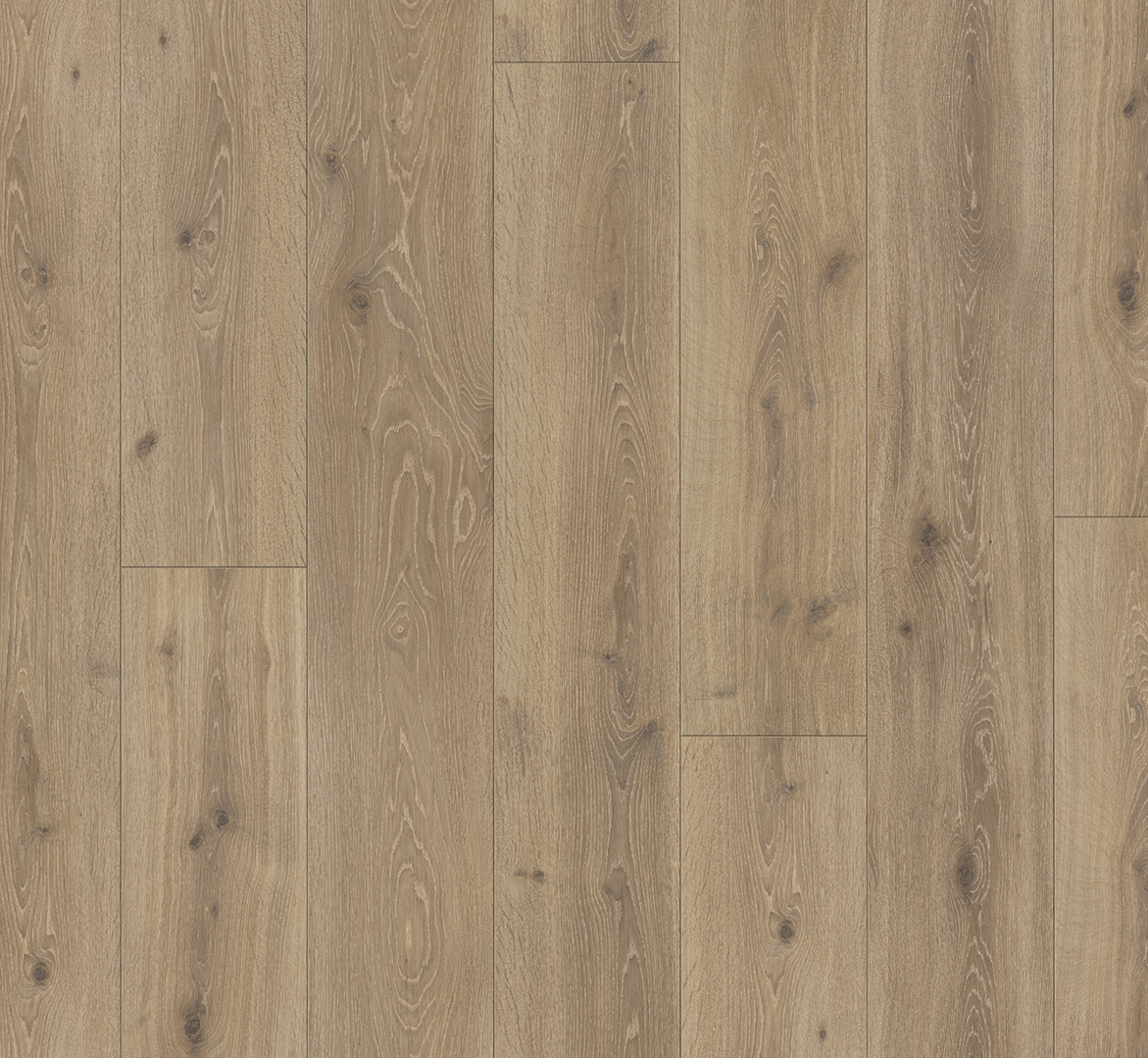 PARADOR Laminat Eiche Castell gekälkt Schlossdiele 4-seitige V-Fuge | Trendtime 6-4014809129646