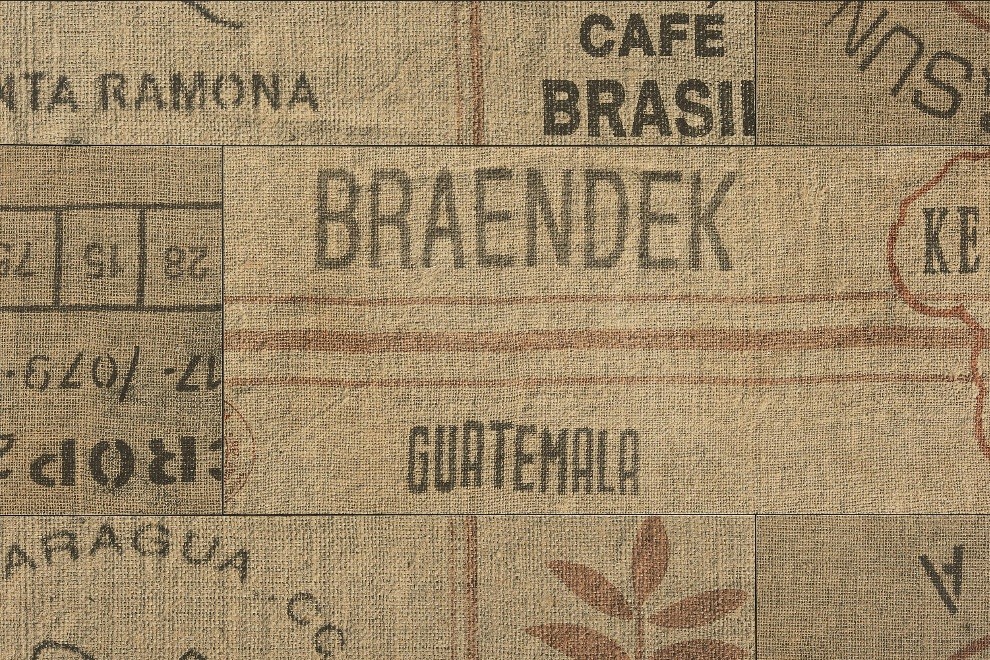 Laminat Arabica mit V-Fuge 300 Format: 25,0 m²-4011138101954 guenstig bei bodenverkauf.de kaufen Laminat Arabica mit V-Fuge 300 Format: 25,0 m²-4011138101954