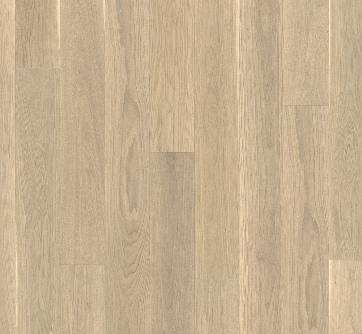 PARADOR Parkett Eiche gebürstet Landhausdiele naturgeölt weiß Minifase | Basic 11-5 | 18 m²-4014809176411 guenstig bei bodenverkauf.de kaufen PARADOR Parkett Eiche gebürstet Landhausdiele naturgeölt weiß Minifase | Basic 11-5 | 18 m²-4014809176411