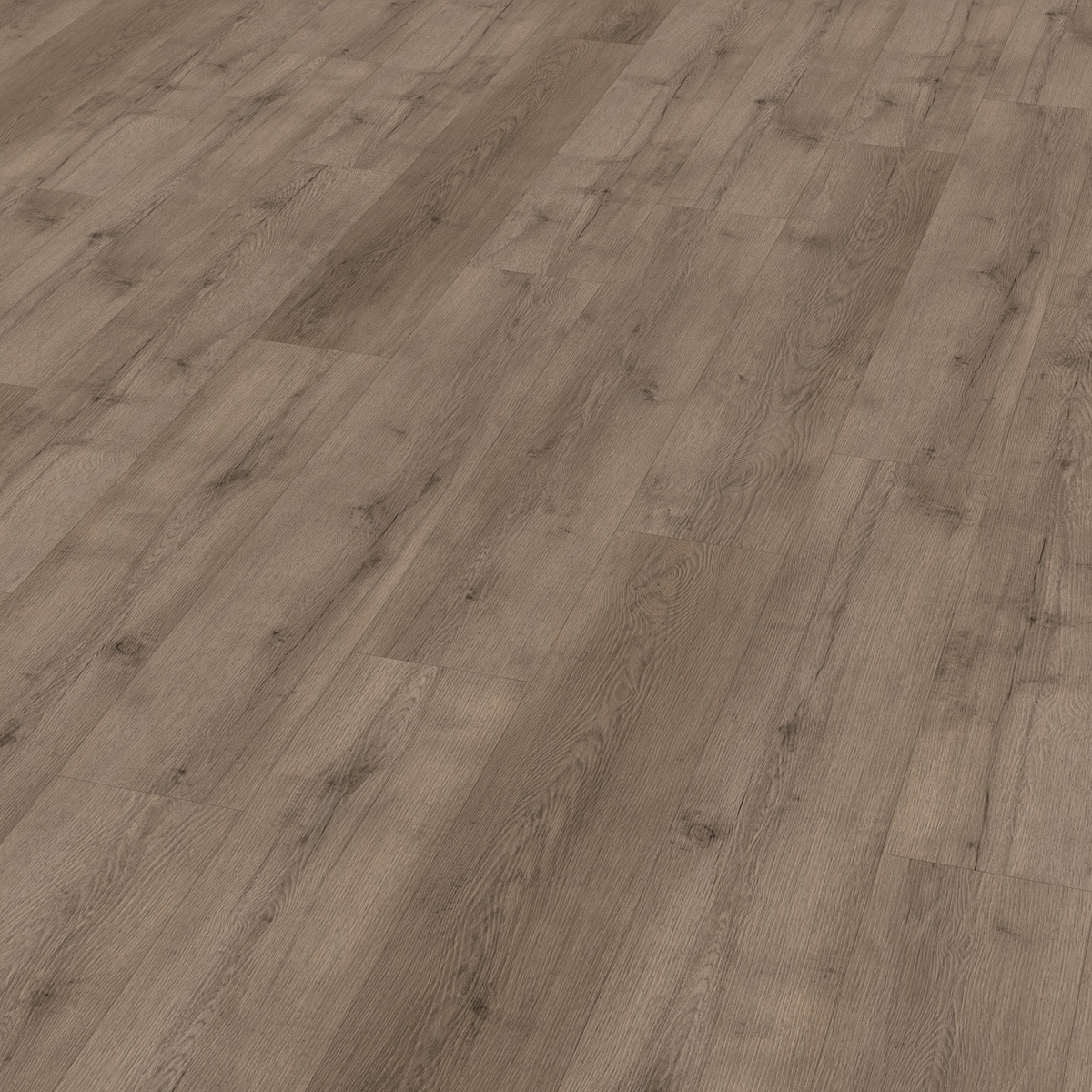 CHECK Vinylboden 2464 Terpe Eiche Landhausdiele | Standard Collection-4250055112951 CHECK Vinylboden 2464 Terpe Eiche Landhausdiele | Standard Collection-4250055112951