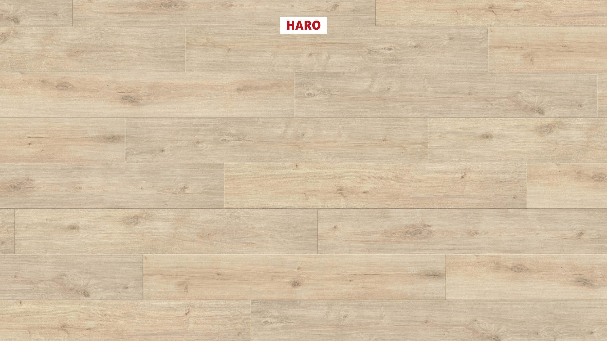 HARO Laminat Eiche Siena samtweiß soft matt Landhausdiele | Sonderedition NKL31-4018427488968 guenstig bei bodenverkauf.de kaufen HARO Laminat Eiche Siena samtweiß soft matt Landhausdiele | Sonderedition NKL31-4018427488968