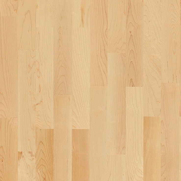 PARADOR Parkett Ahorn kanadisch Natur Schiffsboden 3-Stab lackiert | Classic 3050 | 25 m²-4014809101147 guenstig bei bodenverkauf.de kaufen PARADOR Parkett Ahorn kanadisch Natur Schiffsboden 3-Stab lackiert | Classic 3050 | 25 m²-4014809101147