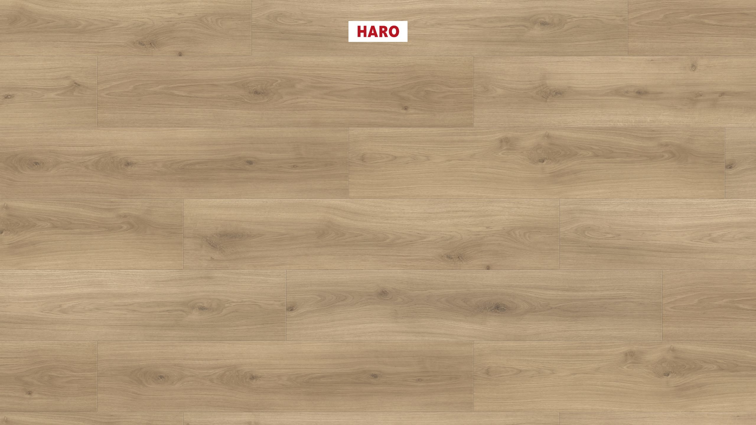 HARO Laminat Eiche Emilia puro Landhausdiele 4V | Tritty 100 Campus | 2.Wahl | 34 m²-4018427448189