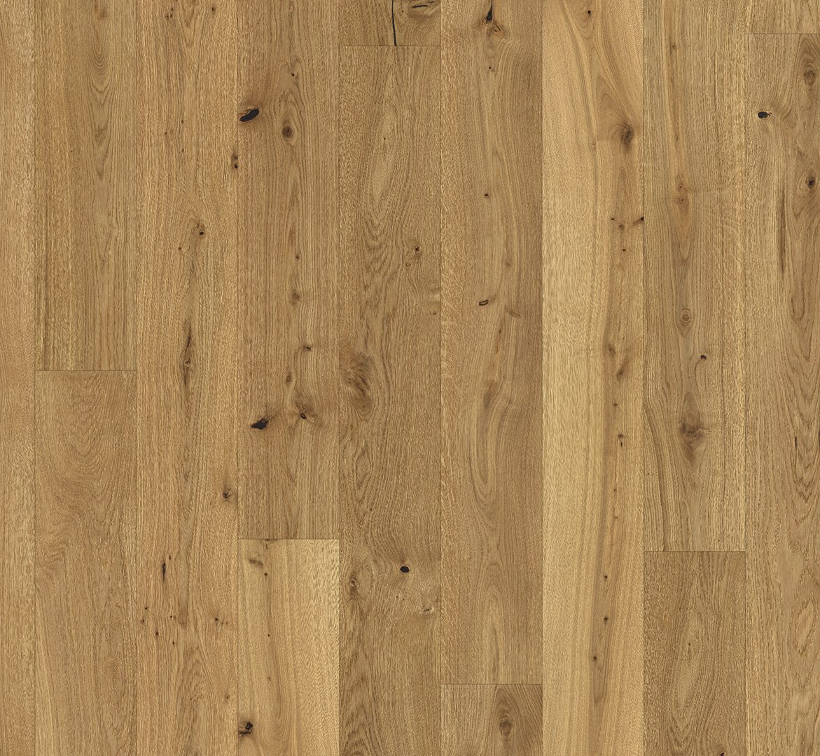 PARADOR Parkett Eiche astig Landhausdiele lackversiegelt umlaufende Minifase | Sonderedition | 36 m²-#