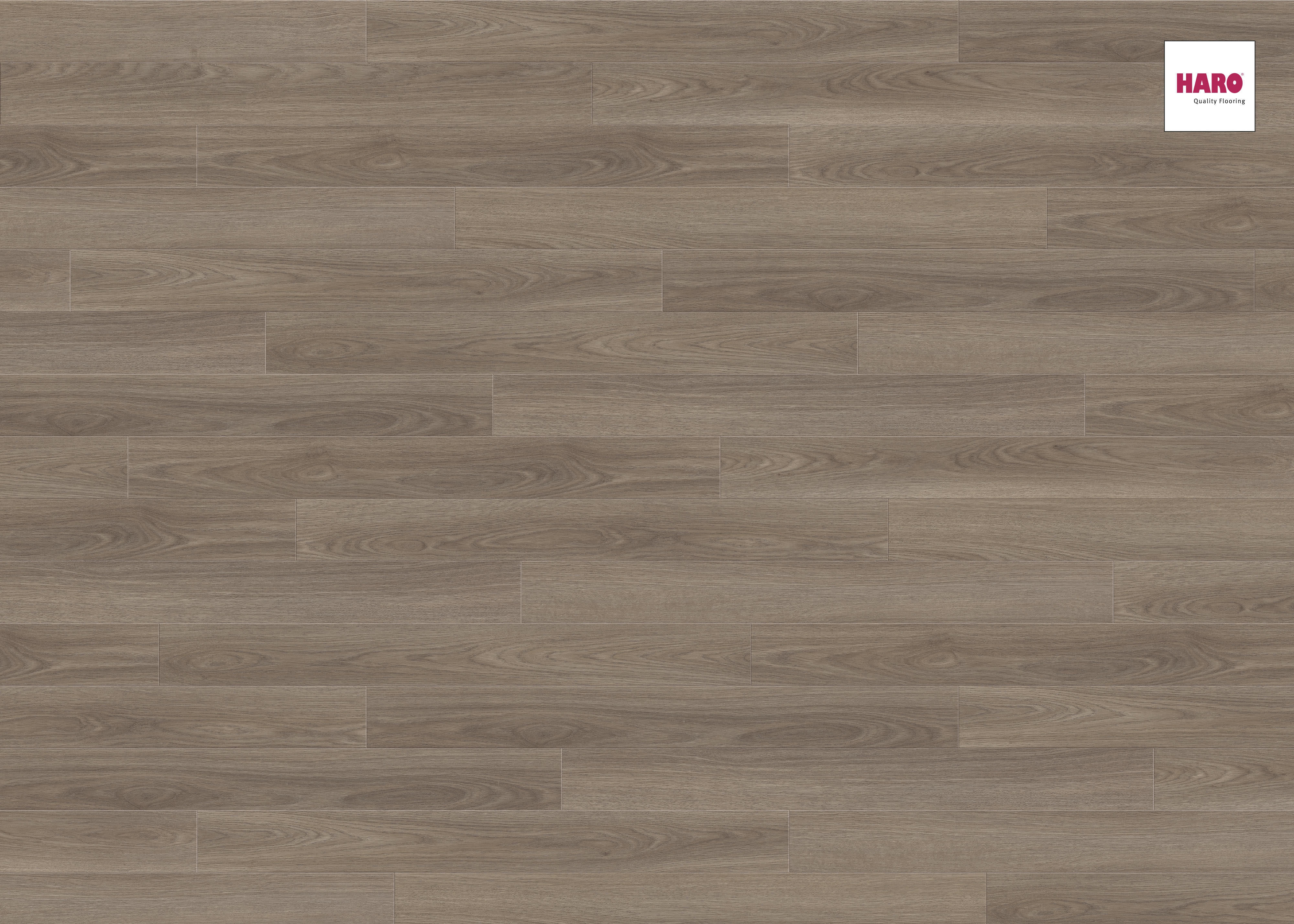 HARO Laminat Eiche antikgrau authentic Landhausdiele | Tritty 100 Loft | 9 m²-4018427400781