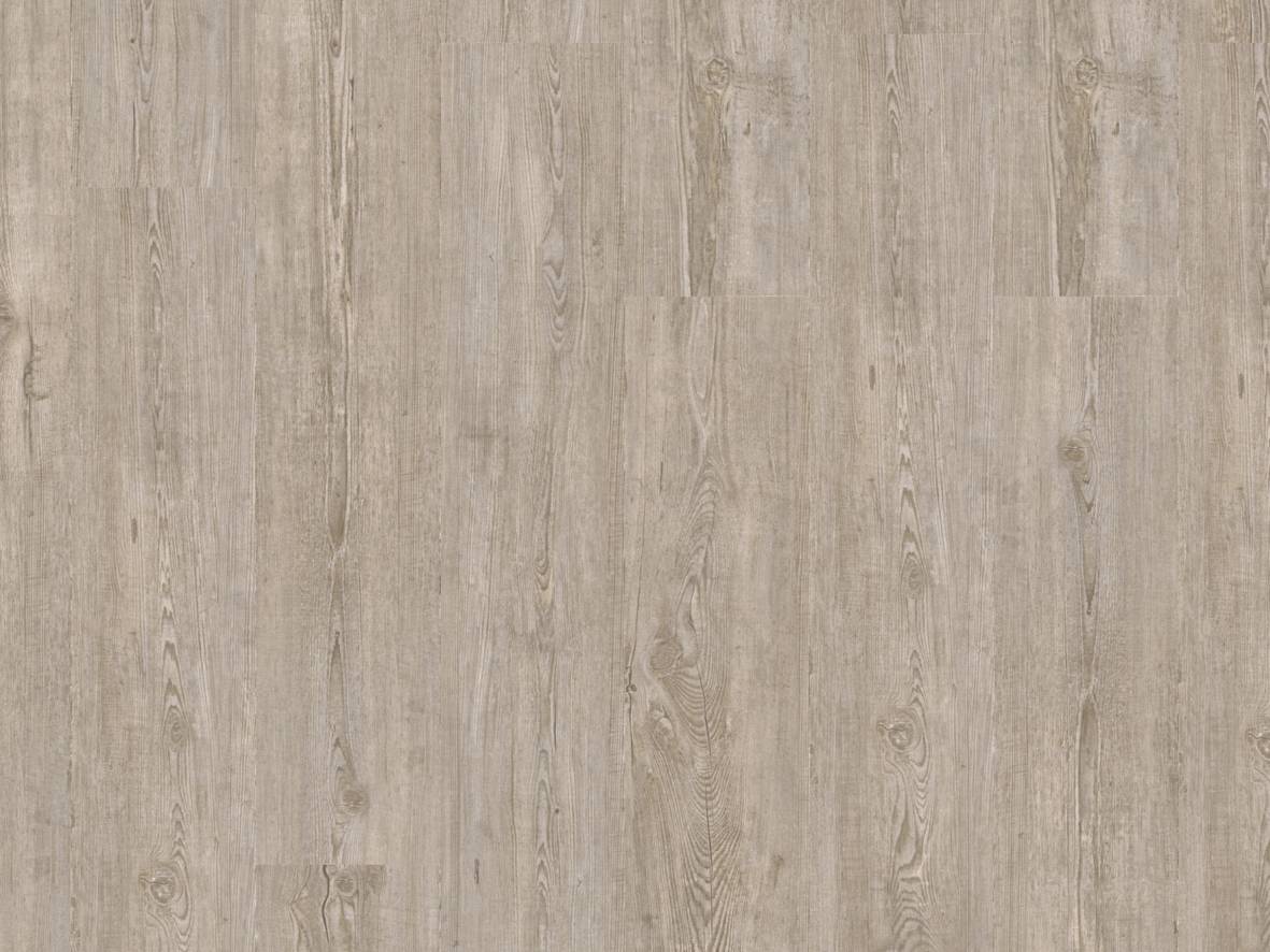 AMORIM Vinylboden Winter Pine | Dekolife Comfort-5602190267116