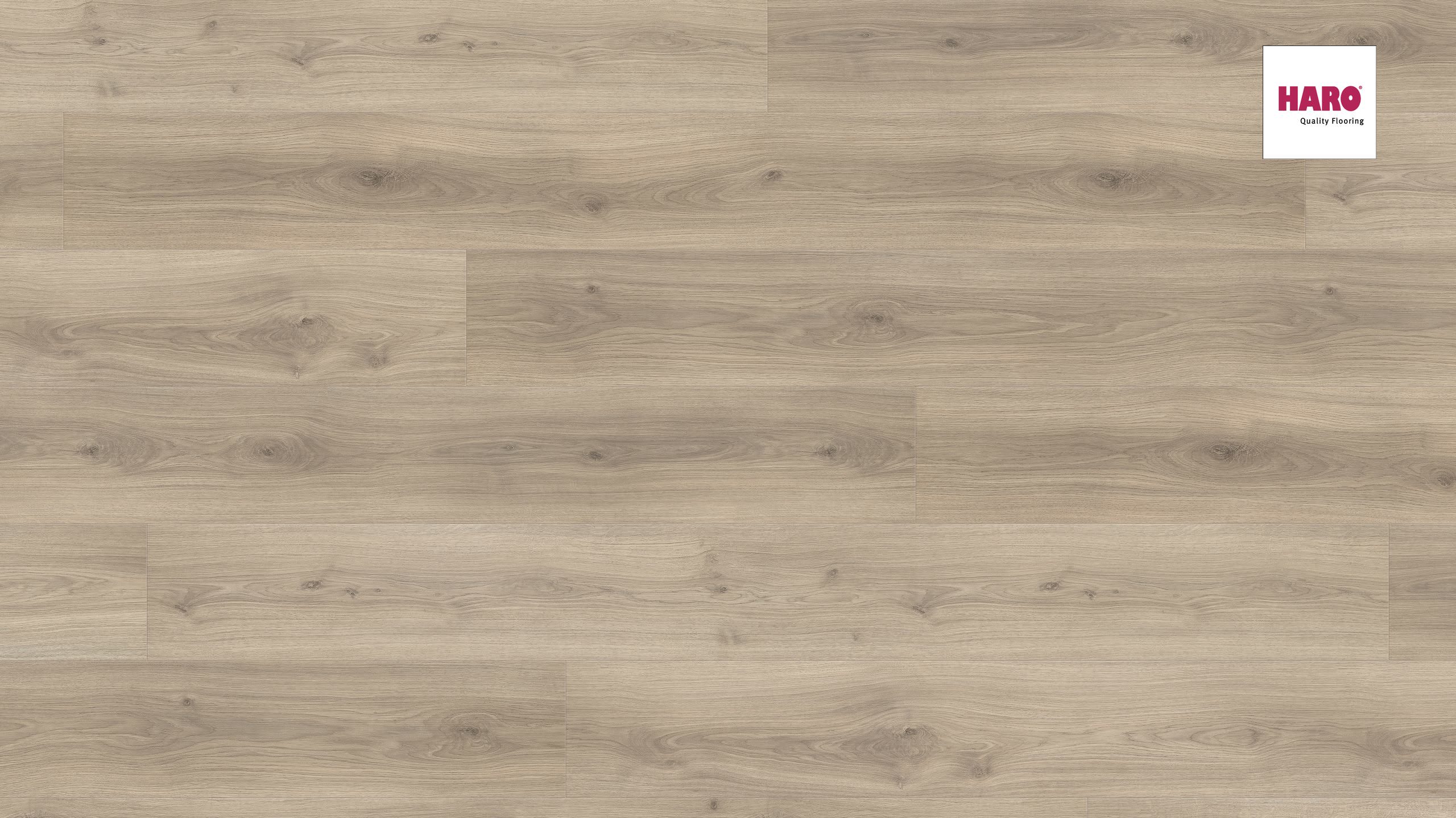 HARO Laminat Eiche Emilia samtgrau Landhausdiele | Tritty 200 Aqua Gran Via | 2.Wahl-4018427458362
