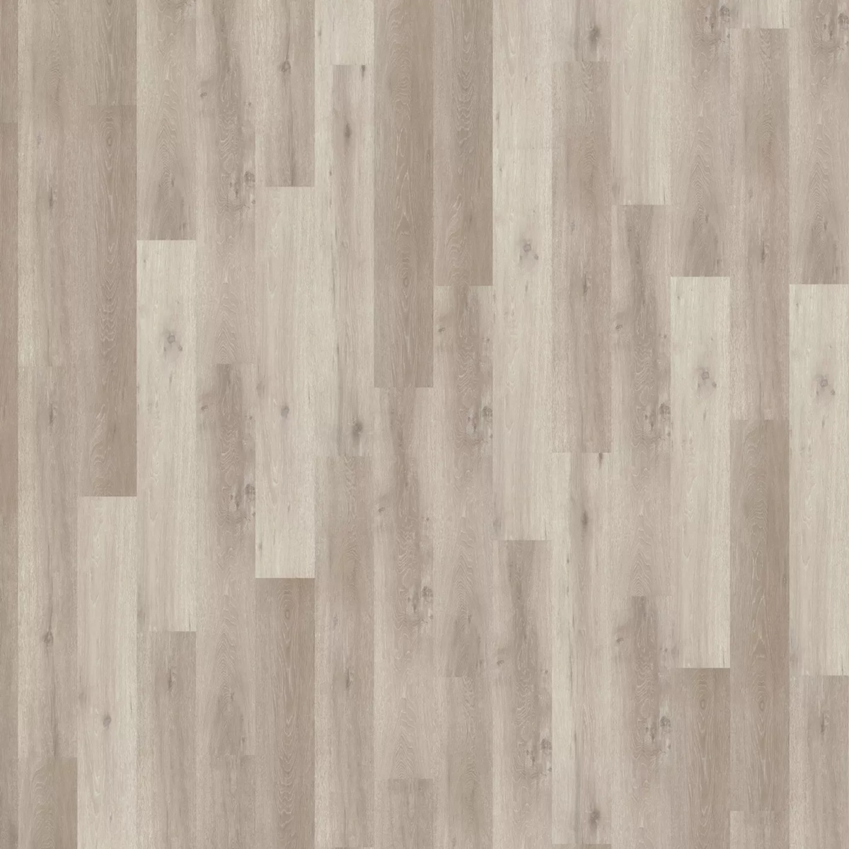 AMORIM Vinylboden Whitewashed Rustic Oak | Dekolife Comfort-5602190268090