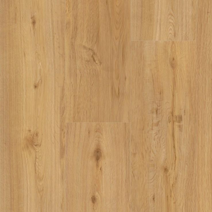 PARADOR Vinylboden Eiche honig Landhausdiele Gebürstete Struktur | Vinyl Aktion 4,3 mm-4014809232629