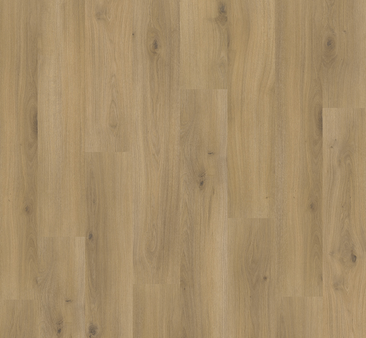 PARADOR Laminat Eiche Horizont natur Landhausdiele Seidenmatte Struktur | Basic 400 | 6 m²-4014809170396