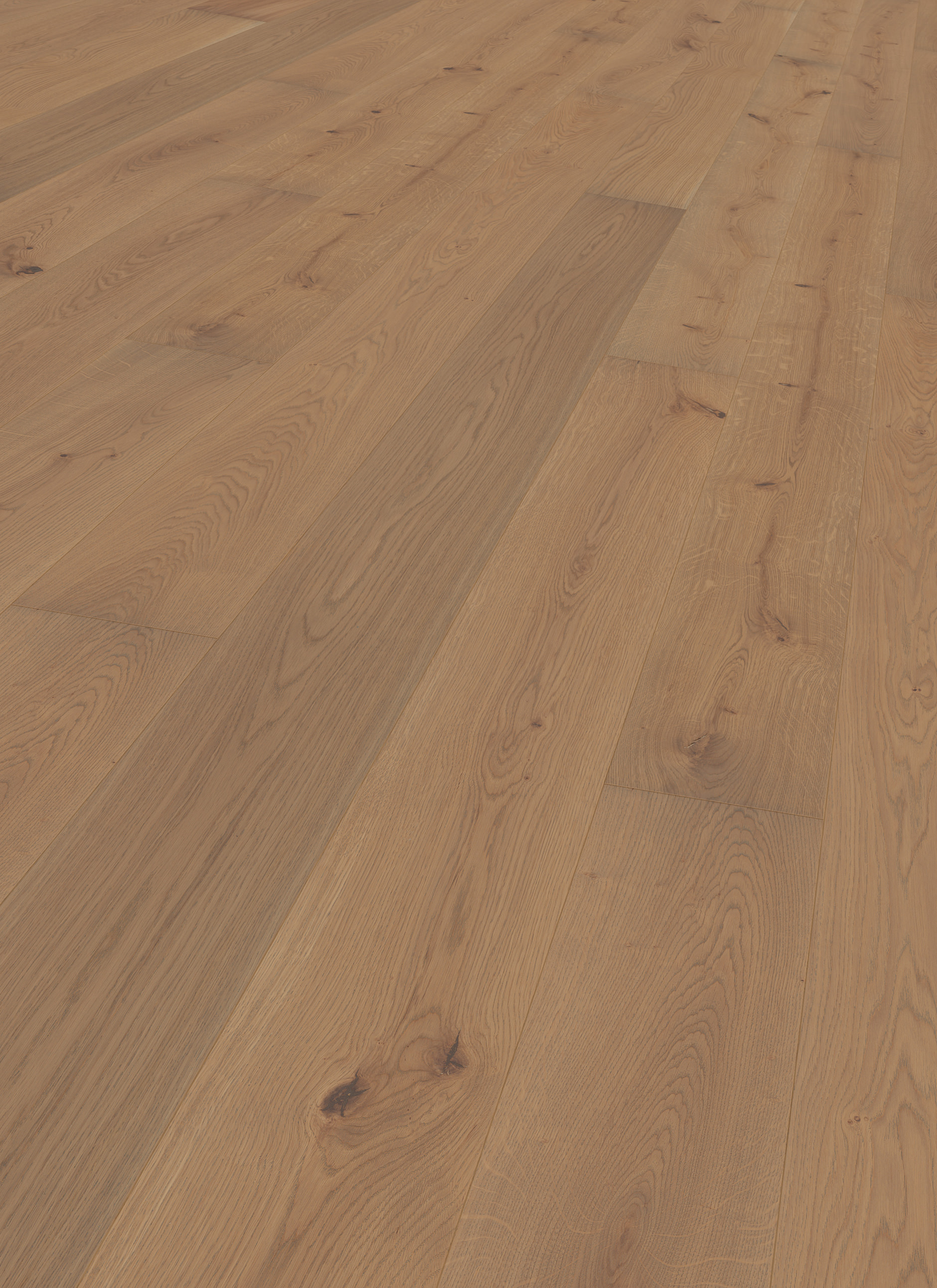 TER HÜRNE Parkett Eiche schilfgrau Landhausdiele gebürstet farbig-naturgeölt | Sonderedition | 23 m²-4012853130618 guenstig bei bodenverkauf.de kaufen TER HÜRNE Parkett Eiche schilfgrau Landhausdiele gebürstet farbig-naturgeölt | Sonderedition | 23 m²-4012853130618