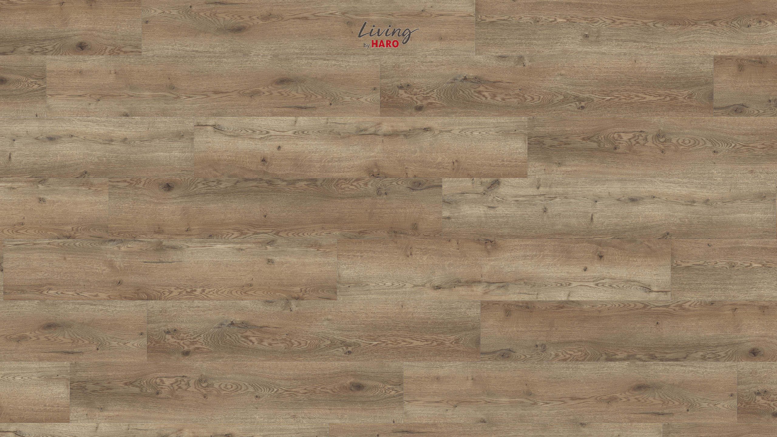 HARO Living Designboden Eiche Palermo strukturiert Landhausdiele 4VM | HydroStar | 25 m²-4018427419141 HARO Living Designboden Eiche Palermo strukturiert Landhausdiele 4VM | HydroStar | 25 m²-4018427419141