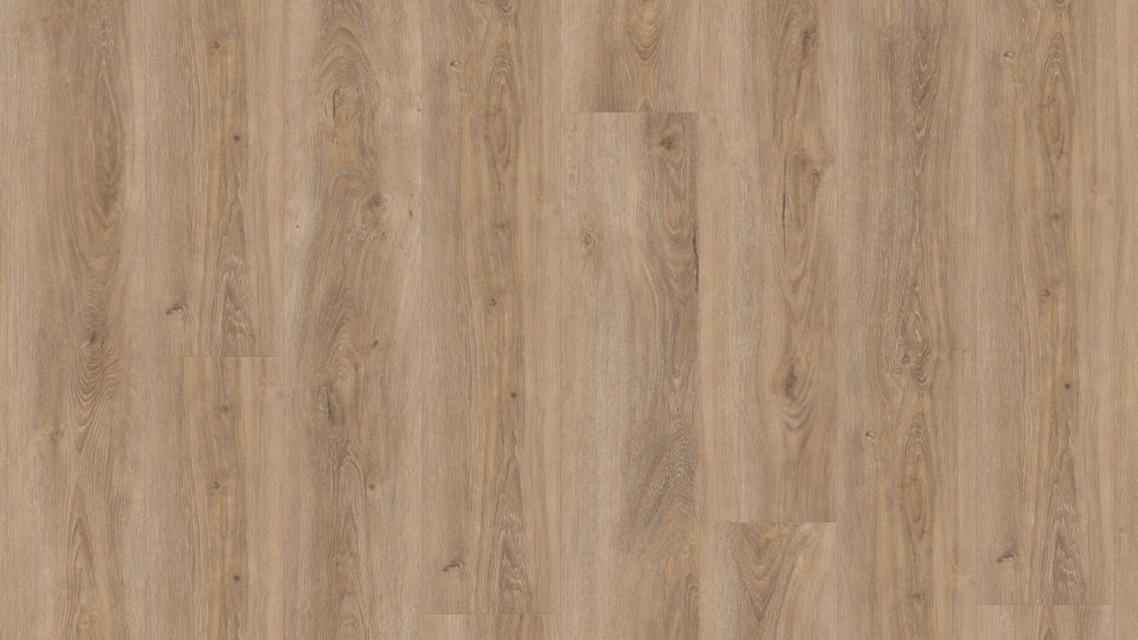 TER HÜRNE Vinylboden Eiche Malaga beigebraun Lange Landhausdiele | Bright Choice Compact | 13 m²-4012853110894