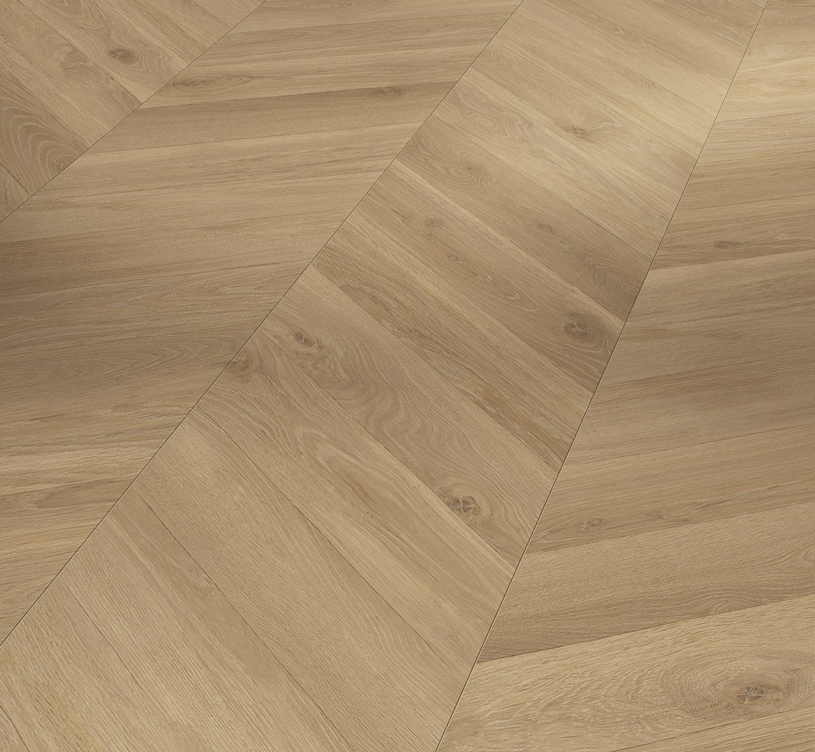 PARADOR Laminat Eiche Loire honig Seidenmatte Struktur | Trendtime 8-4014809268604 PARADOR Laminat Eiche Loire honig Seidenmatte Struktur | Trendtime 8-4014809268604