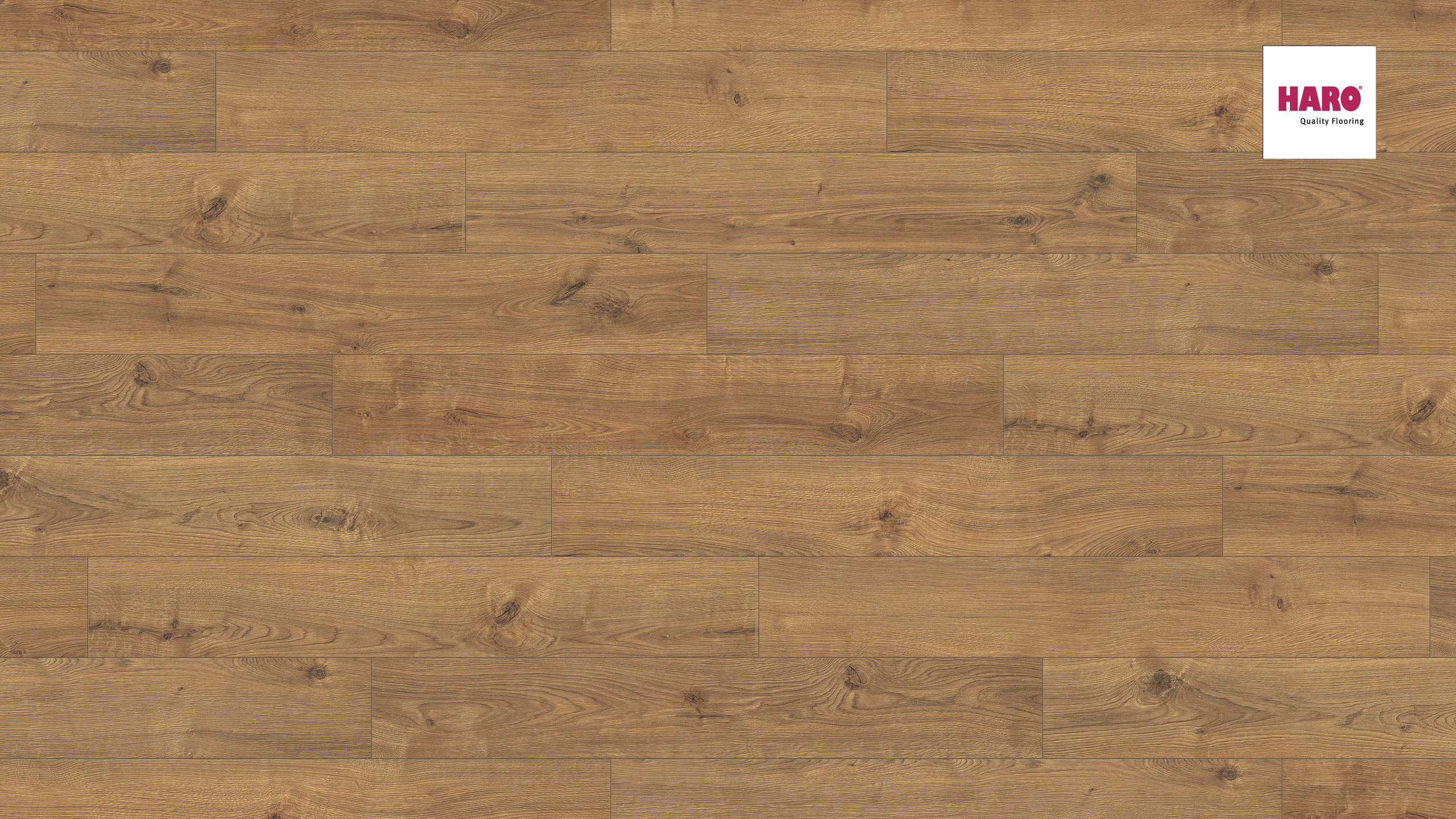 HARO Laminat Eiche Portland natur authentic Landhausdiele 4V | Sonderedition | 10 m²-4018427381004