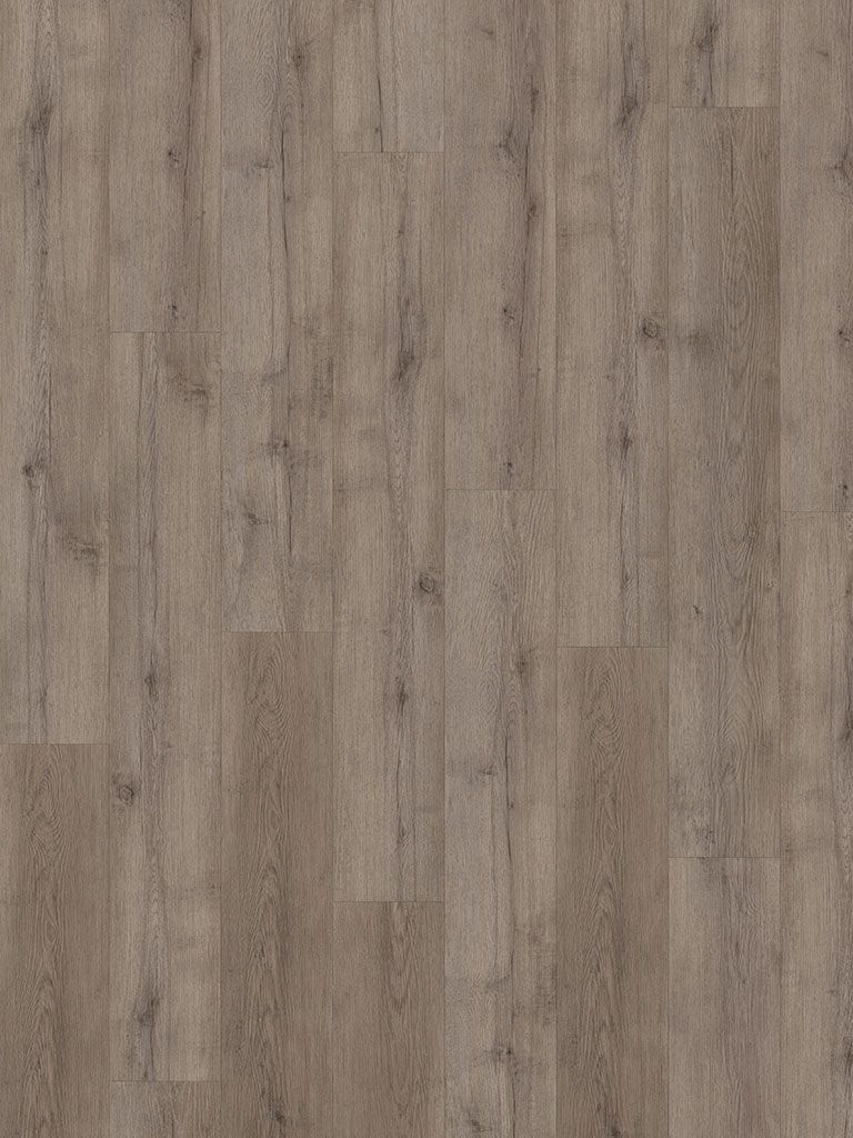 CHECK ONE Vinylboden 2464 Terpe Eiche Landhausdiele | Standard Collection-4250055112951