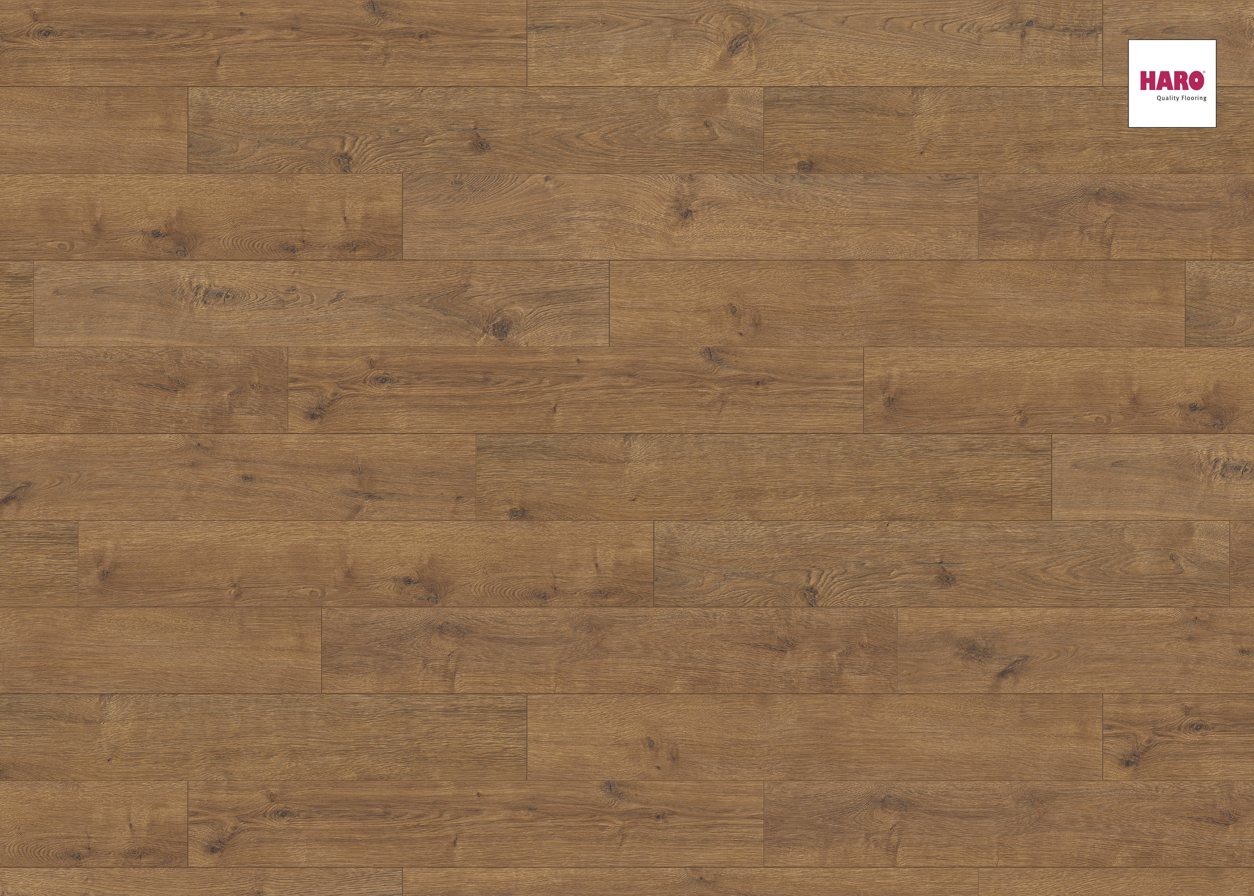 HARO Laminat Eiche Portland bernstein Landhausdiele 4V | Tritty 250 | 2.Wahl | 18,5 m²-4018427377229 guenstig bei bodenverkauf.de kaufen HARO Laminat Eiche Portland bernstein Landhausdiele 4V | Tritty 250 | 2.Wahl | 18,5 m²-4018427377229