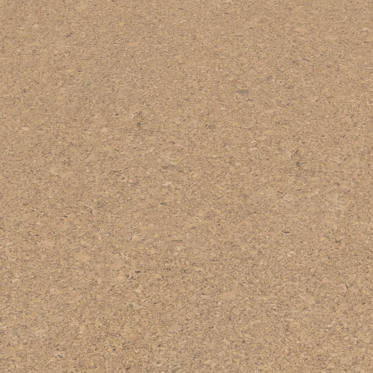 AMORIM Korkboden Aveiro Creme | Corklife Studiostyle-5602190308956 guenstig bei bodenverkauf.de kaufen AMORIM Korkboden Aveiro Creme | Corklife Studiostyle-5602190308956