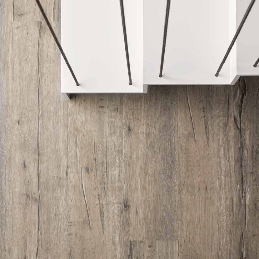 TER HÜRNE Vinylboden Eiche Boston grau Lange Landhausdiele D04a | Straight Choice-4012853119668