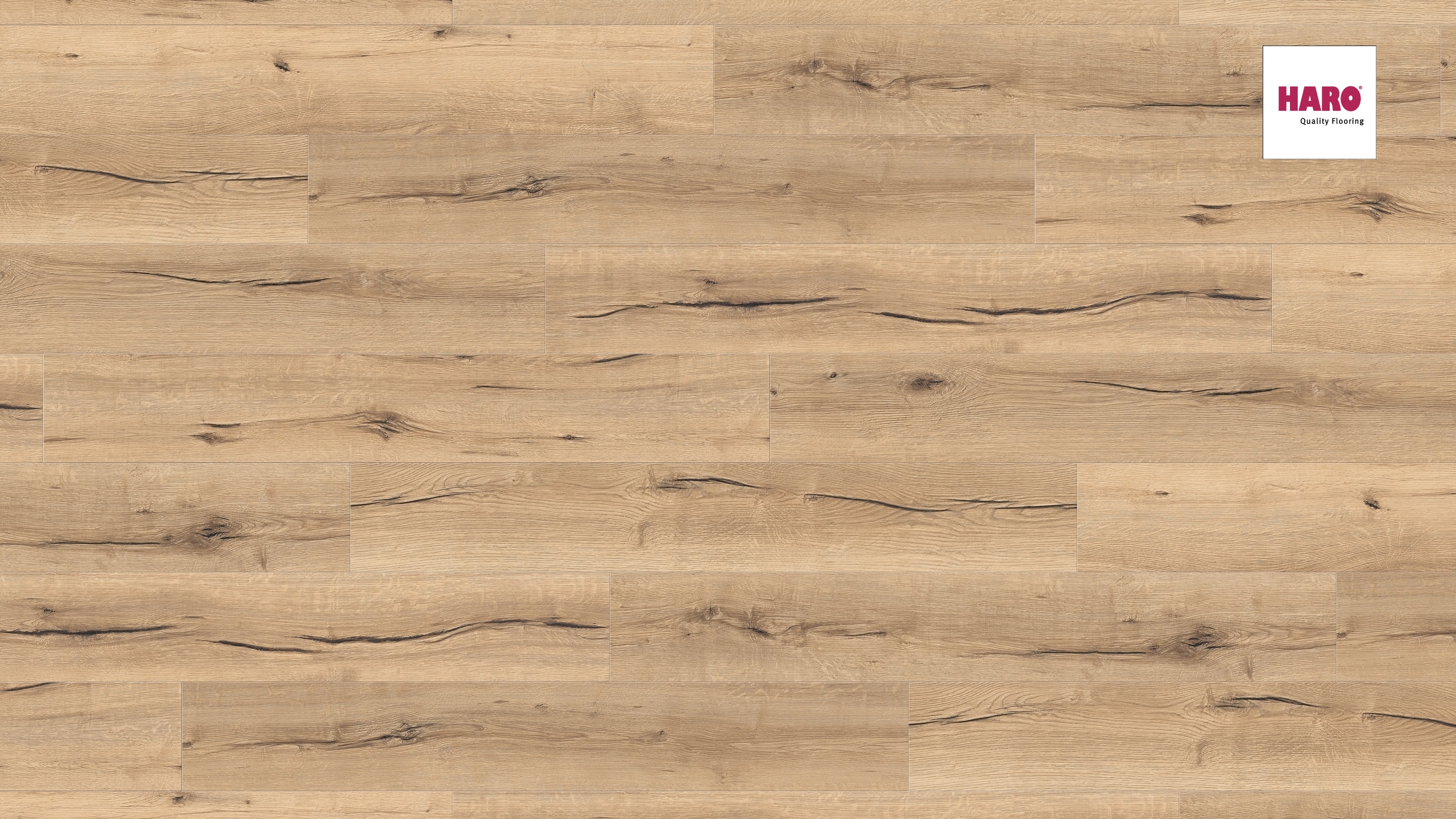 HARO Laminat Eiche italica creme authentic Landhausdiele 4V | Tritty 100 | 2.Wahl | 24 m²-4018427448318