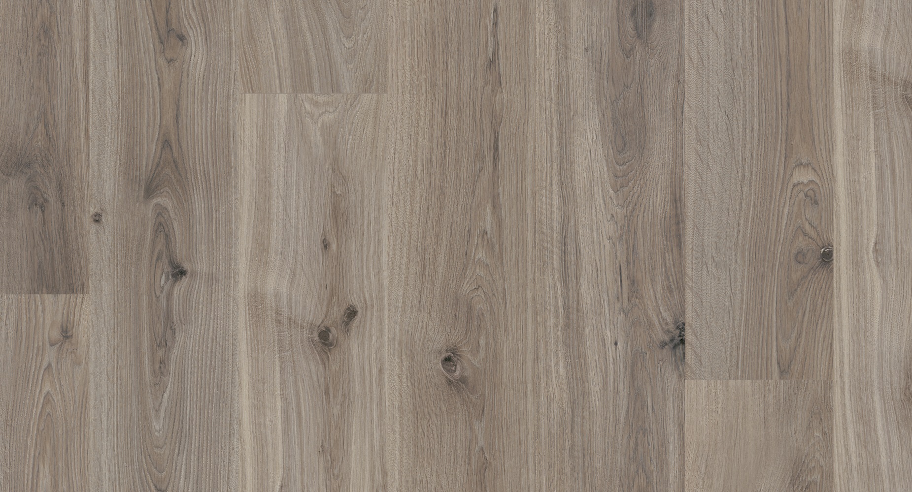 PARADOR Laminat Eiche basaltgrau Landhausdiele Seidenmatte Struktur | Eco Balance-4014809191025