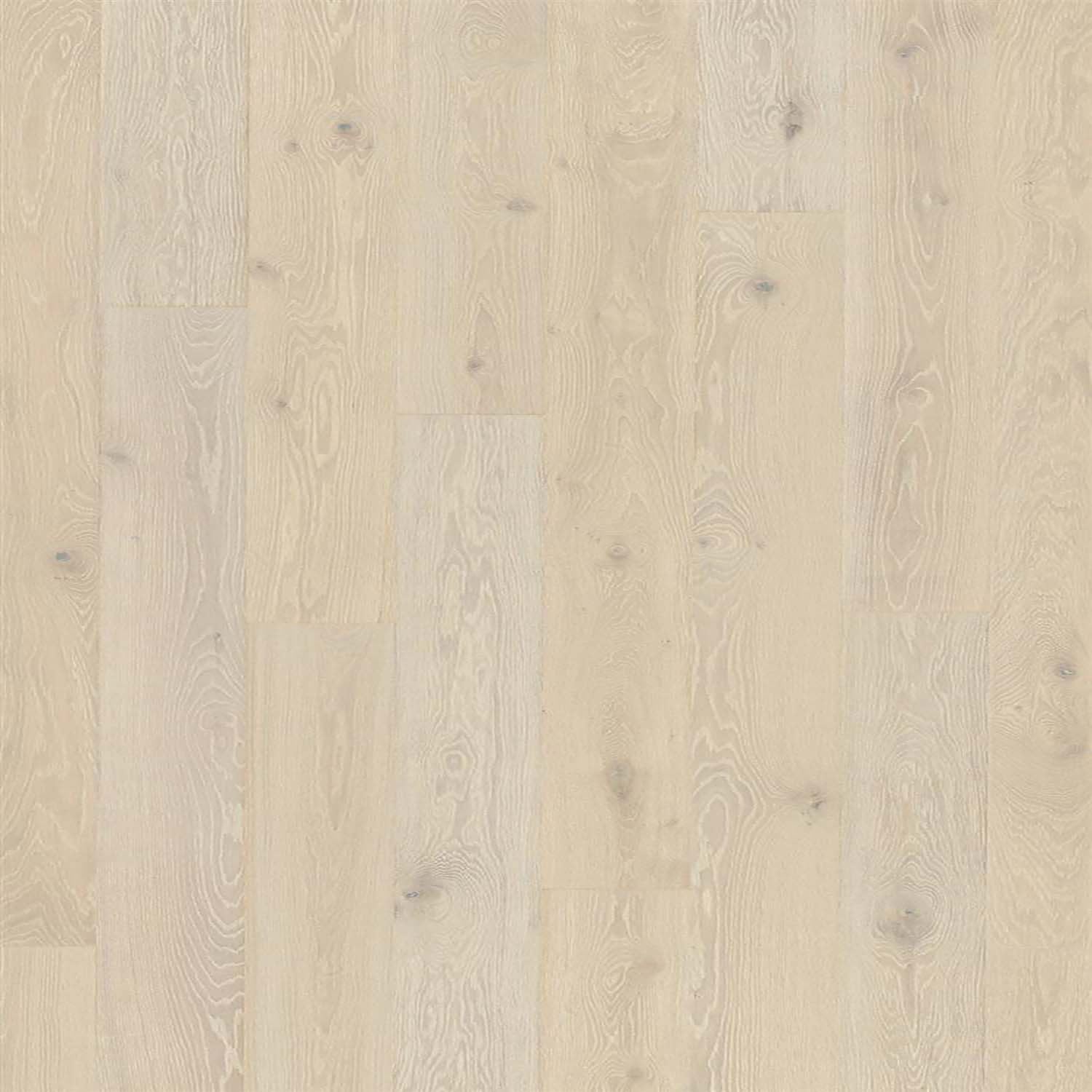PARADOR Parkett Eiche Arktis Landhausdiele umlaufende Fase | Trendtime 4 | 13 m²-4014809134121