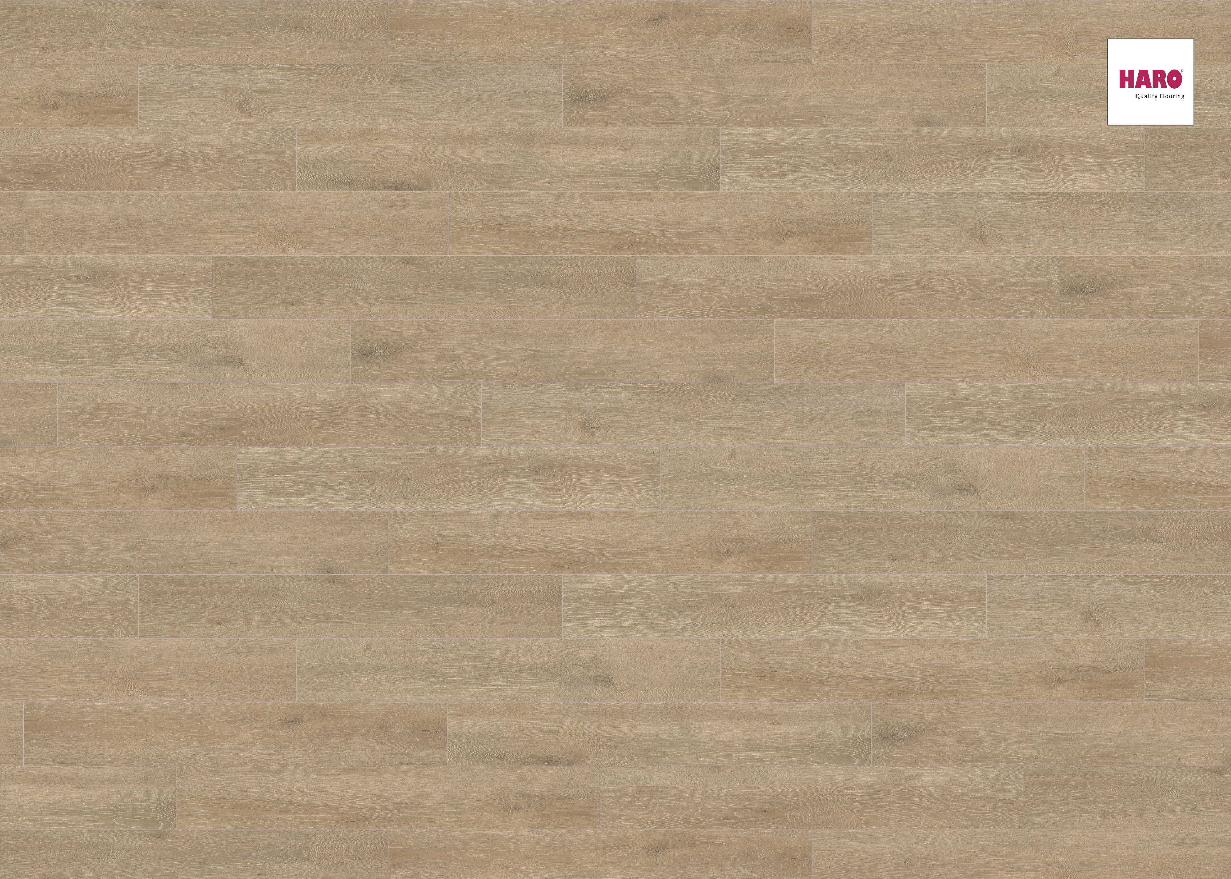 HARO Laminat Eiche Veneto crema authentic matt Landhausdiele 4V | Sonderedition Tritty 100 | 5 m²-4018427400187
