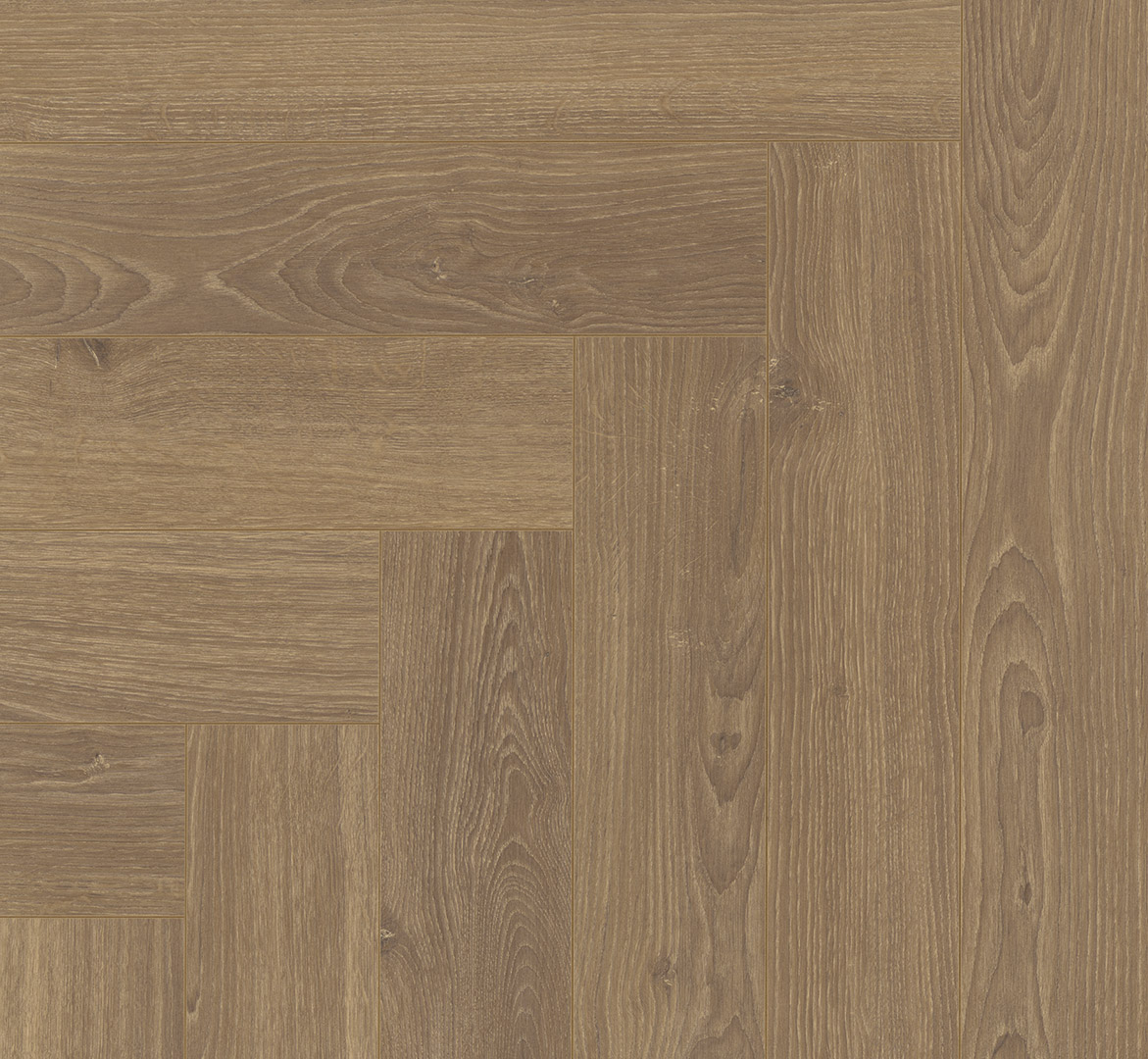 PARADOR Laminat Eiche Studioline honig Naturmattstruktur 4-seitige V-Fuge | Trendtime 3-4014809263319