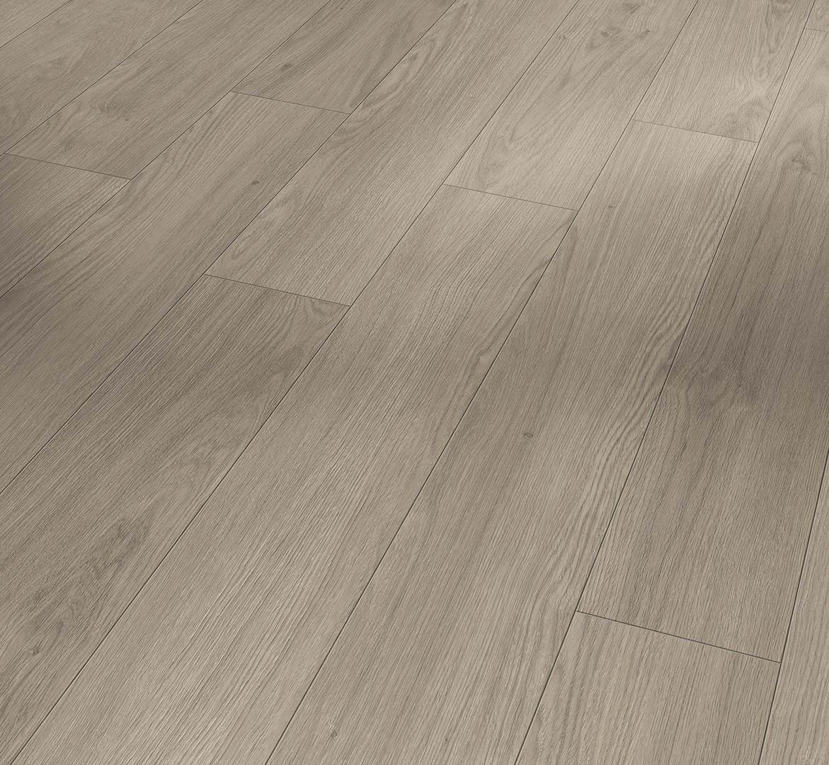 PARADOR Laminat Eiche Mont Blanc grau Matte Holzstruktur 4-seitige V-Fuge | Trendtime 1-4014809267853 PARADOR Laminat Eiche Mont Blanc grau Matte Holzstruktur 4-seitige V-Fuge | Trendtime 1-4014809267853