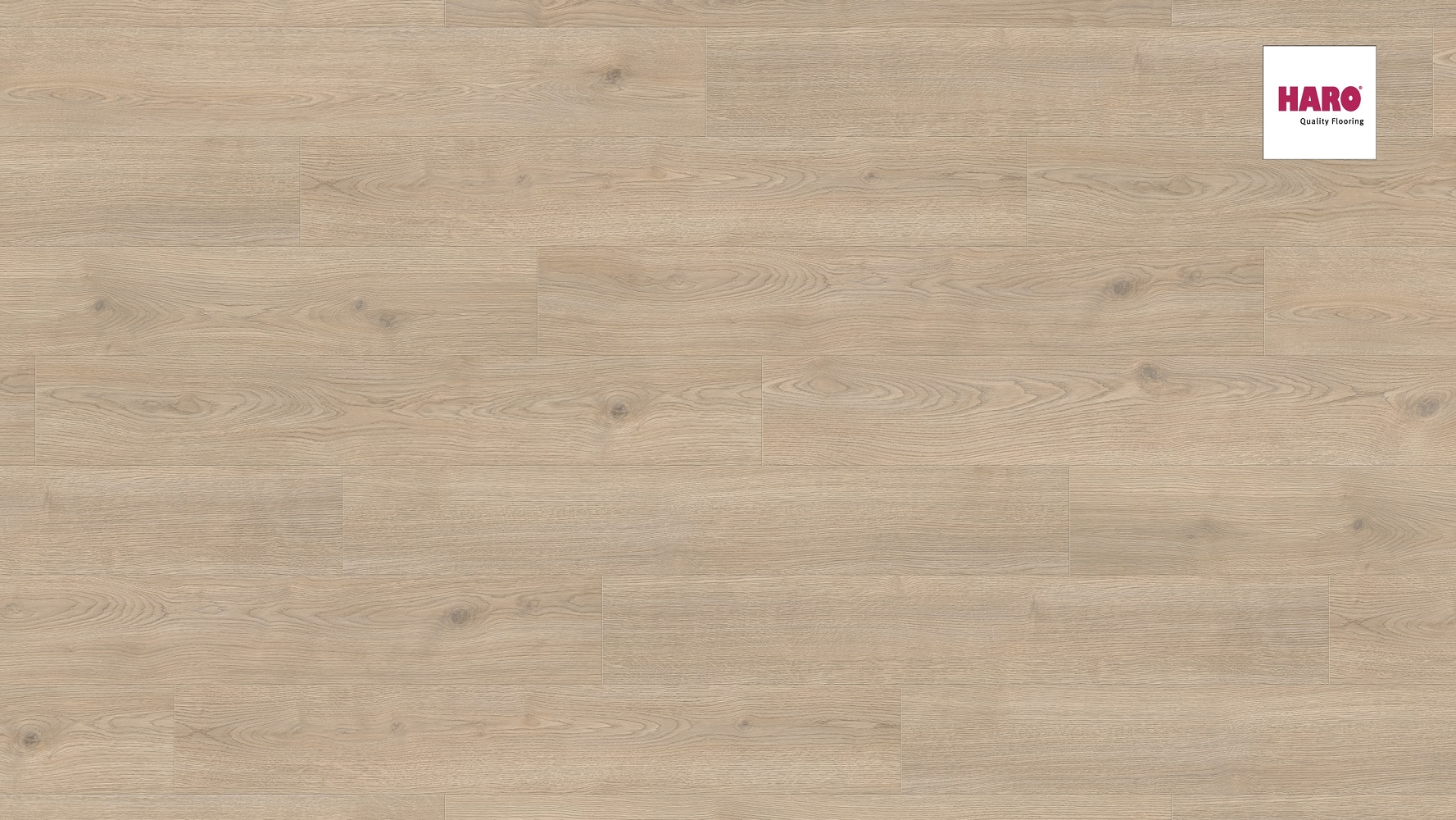 HARO Laminat Eiche Contura steingrau Landhausdiele 4V | Tritty 100 | 2. Wahl | 34 m²-#