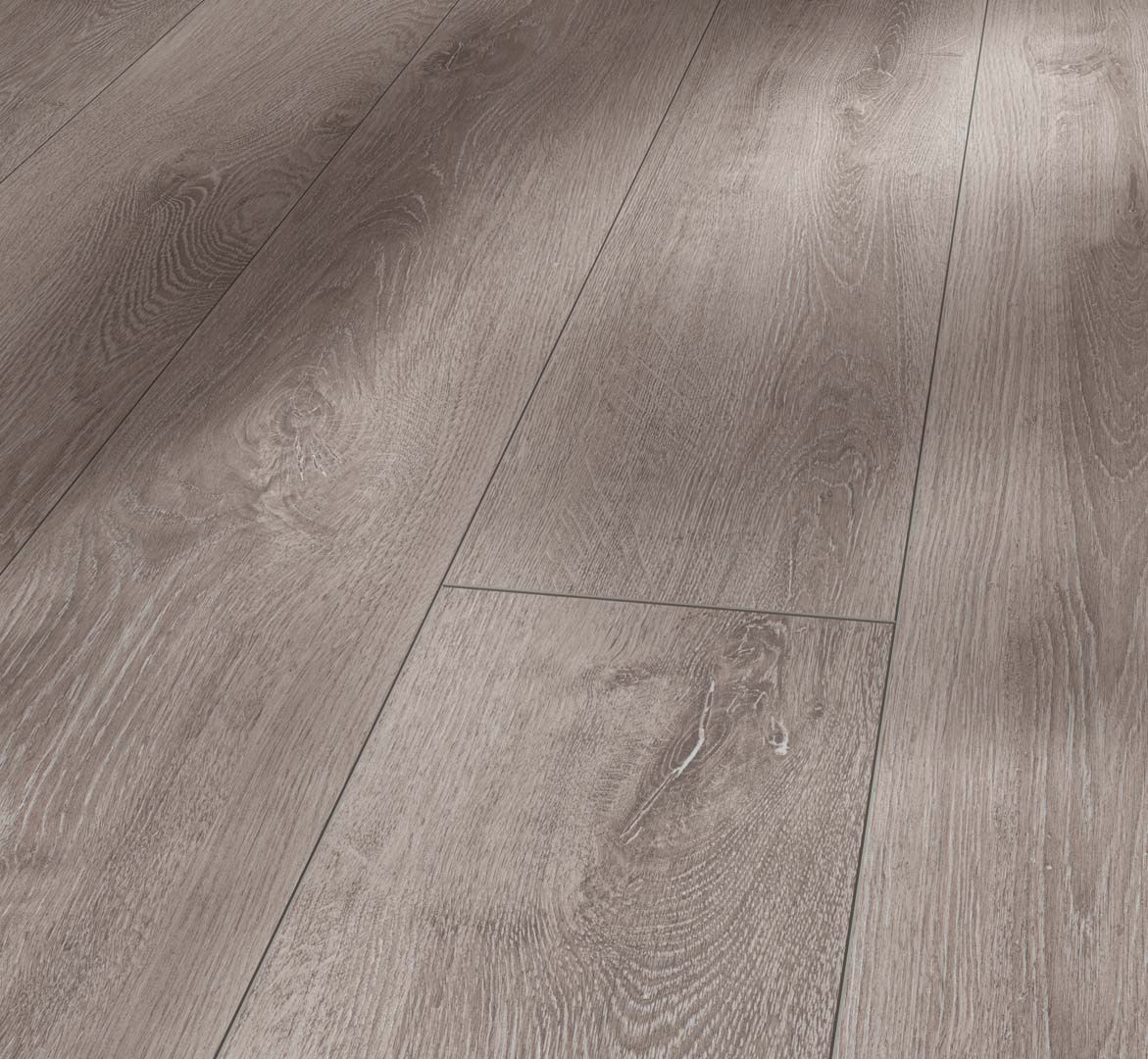PARADOR Laminat Eiche lichtgrau Seidenmatte Struktur Schloßdiele 4-seitige V-Fuge | Trendtime 6-4014809123323