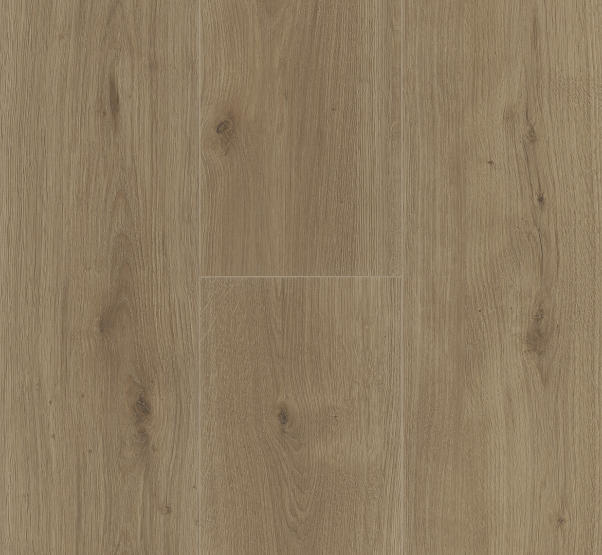 PARADOR Designboden Eiche Atmosphere umbra Authentische Struktur 4-seitige Fase | Modular ONE-4014809236252