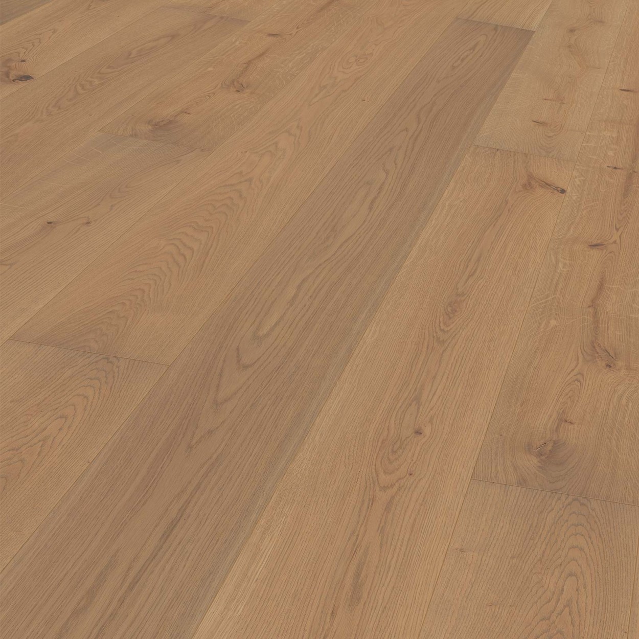 TER HÜRNE Parkett Eiche reed grey Landhausdiele gebürstet farbig-lackiert | Sonderedition | 14,5 m²-4012853125843