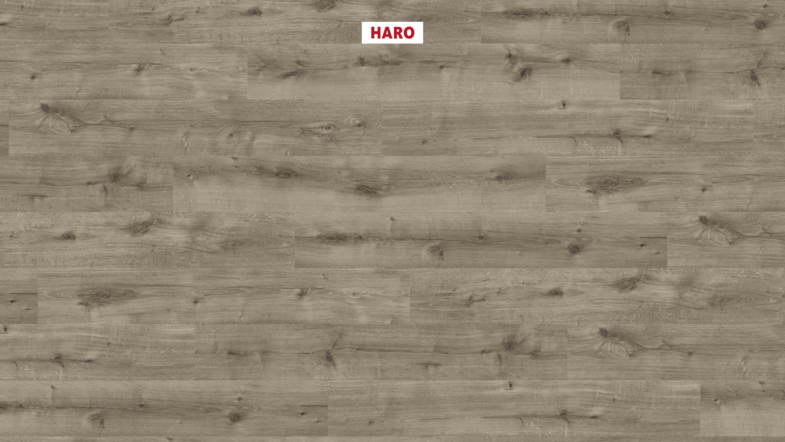 HARO Laminat Eiche Calla grau strukturiert Landhausdiele | Daily Edition | 2. Wahl | 9 m²-4018427472665