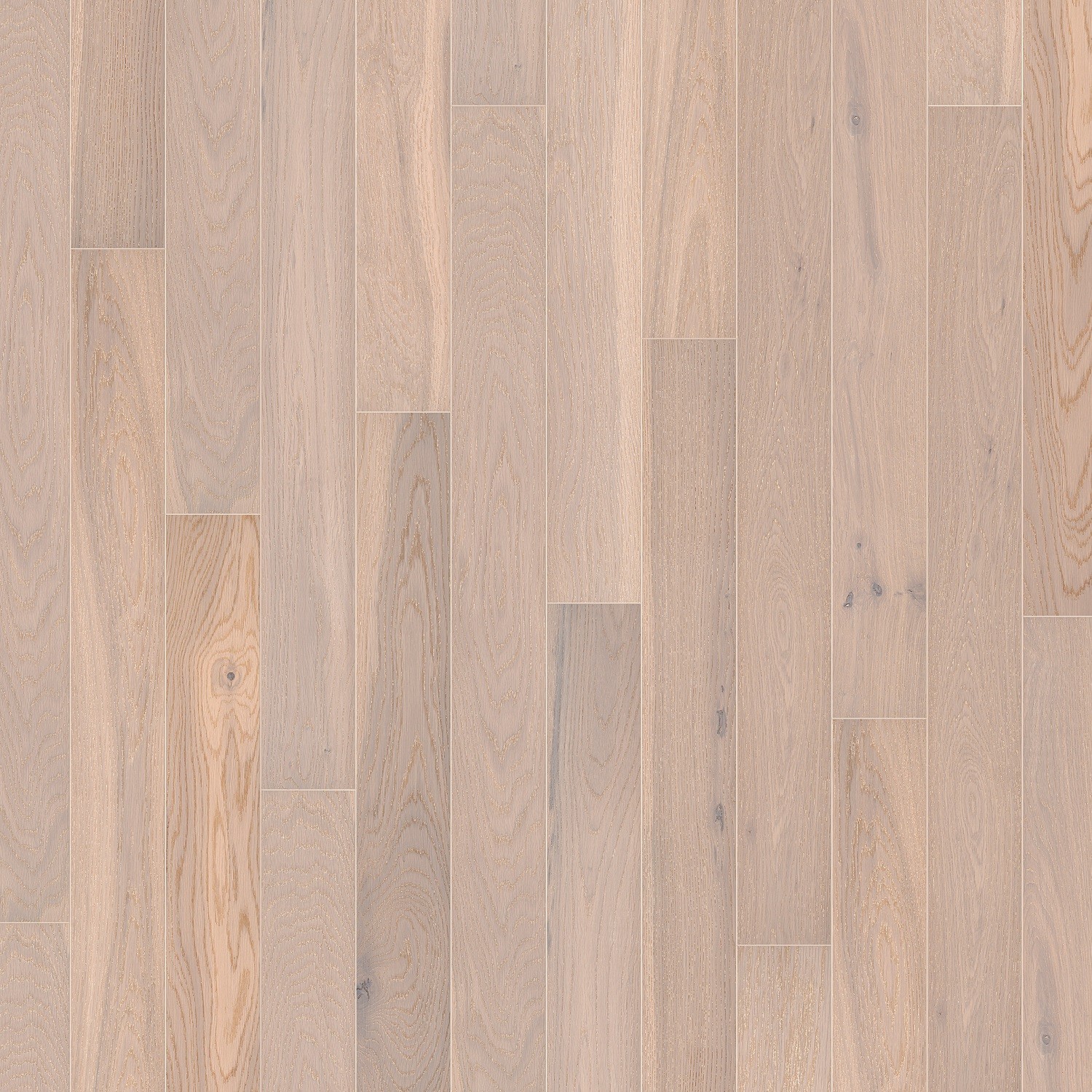TER HÜRNE Parkett Eiche altweiß Landhausdiele gebürstet mattlackiert | Pure Collection | 14,5 m²-4012853050817