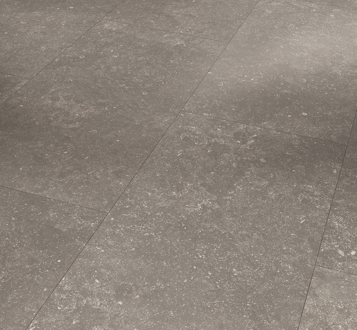 PARADOR Designboden Granit felsengrau Steinstruktur 4-seitige Fase | Basic-4014809265894