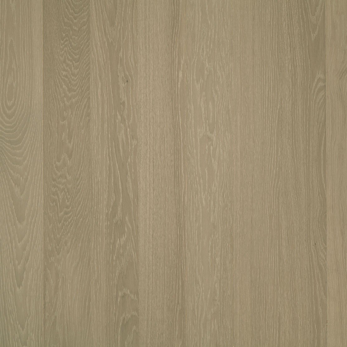 PARADOR Parkett Eiche Albescent Landhausdiele lackversiegelt | 34 m²-#