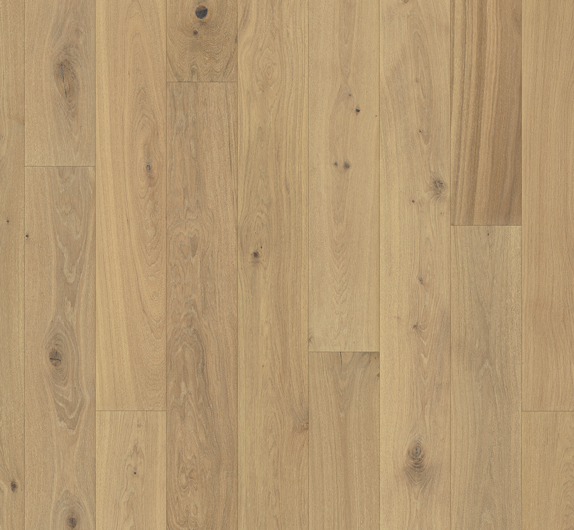 PARADOR Parkett Eiche Landhausdiele 4-seitige Mini-V-Fuge lackversiegelt weiß | 2. Wahl | 18,5 m²-#