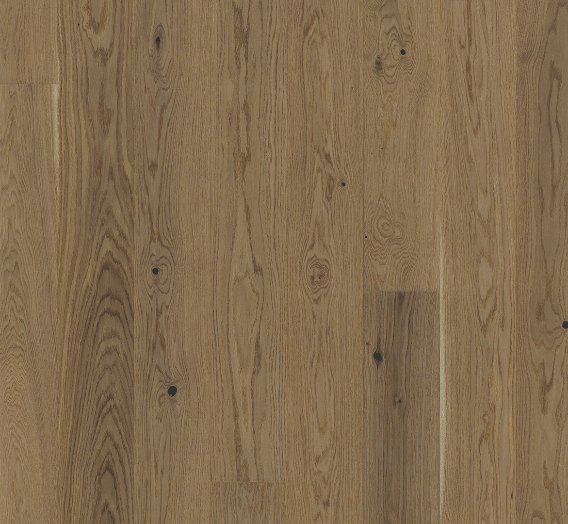 PARADOR Parkett Eiche nougat Landhausstab lackversiegelt 4-seitige Minifase | Classic 3025 | 32 m²-4014809265719