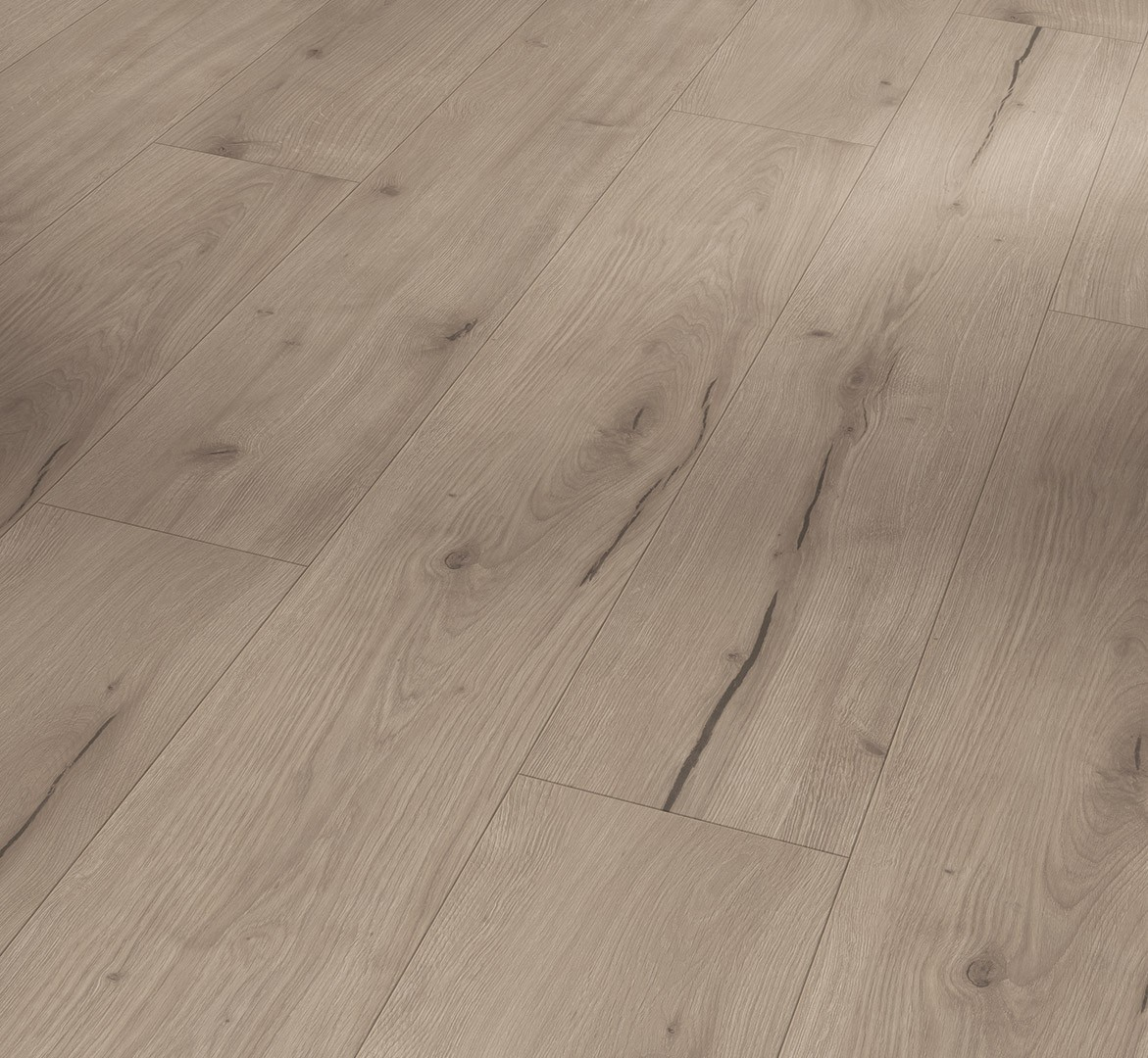 PARADOR Designboden Eiche Ferrum grau Landhausdiele Holzstruktur 4-seitige Fase | Modular ONE PARADOR Designboden Eiche Ferrum grau Landhausdiele Holzstruktur 4-seitige Fase | Modular ONE