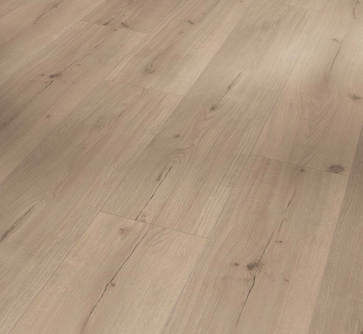 PARADOR Vinylboden Eiche Infinity grau Landhausdiele Lebhafte Struktur 4-seitige Fase | Basic 5.3-4014809237051