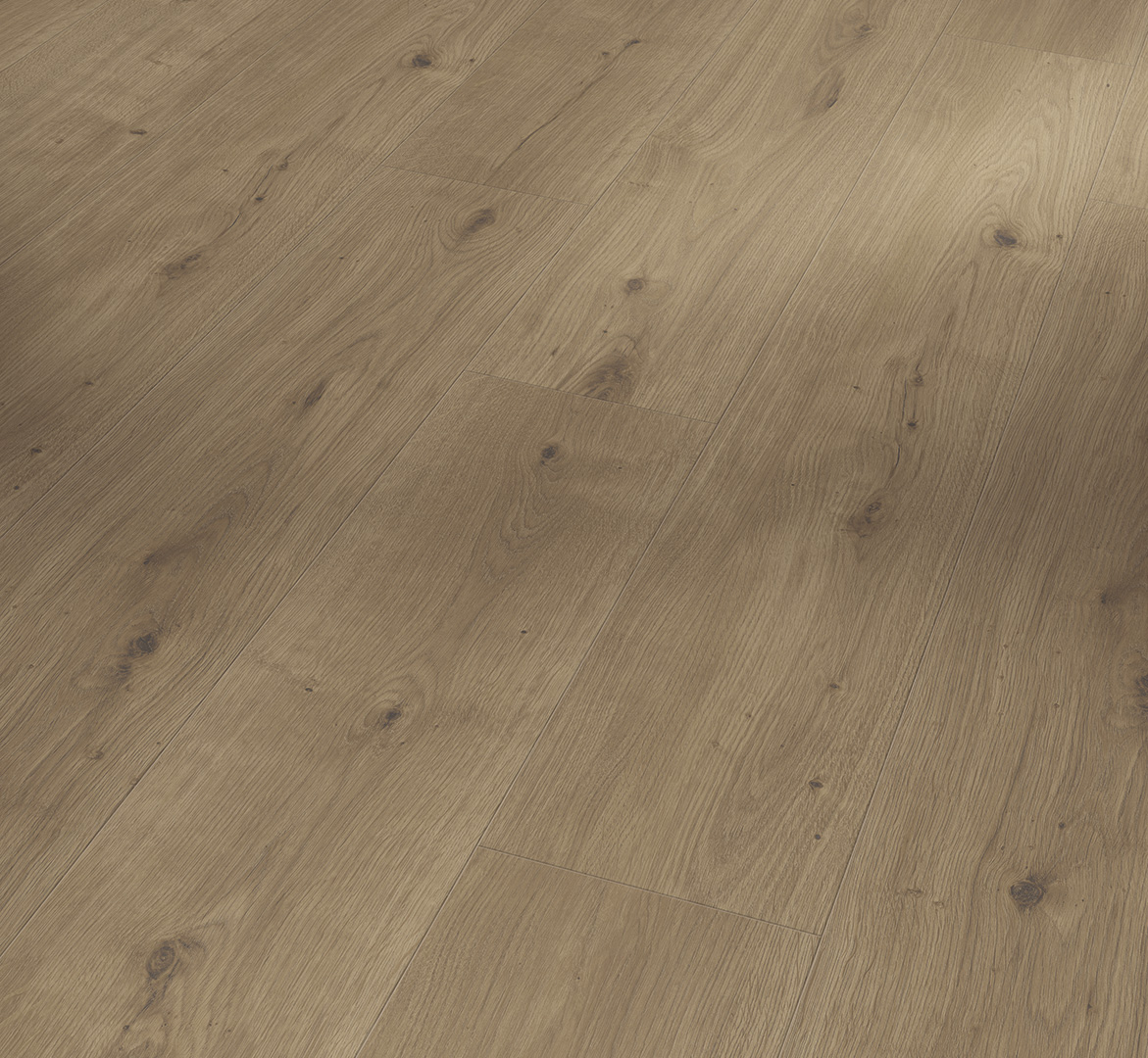 PARADOR Designboden Eiche graubraun Landhausdiele Authentische Struktur 4-seitige Fase | Basic | 25 m²-4014809265733 PARADOR Designboden Eiche graubraun Landhausdiele Authentische Struktur 4-seitige Fase | Basic | 25 m²-4014809265733