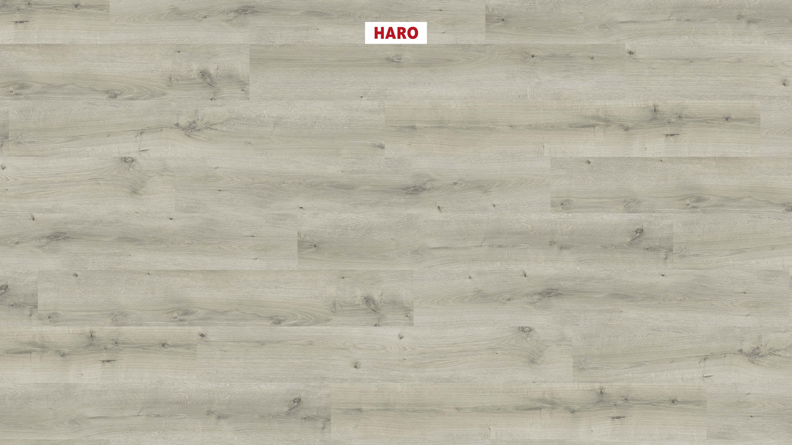 HARO Laminat Eiche Breda hellgrau strukturiert Landhausdiele | Daily Edition 7 mm-4018427472405