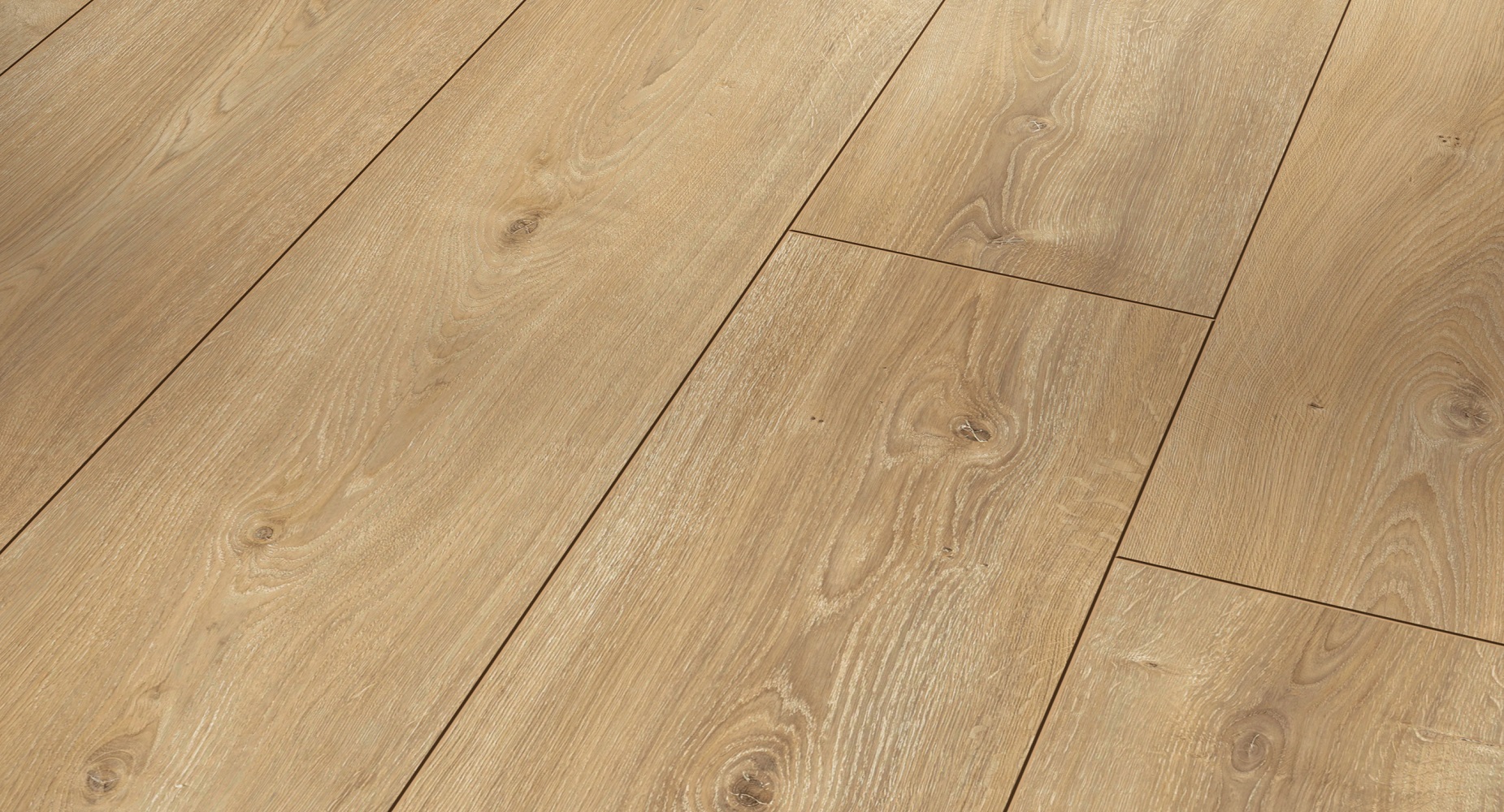 PARADOR Laminat Eiche Nova gekälkt Naturstruktur Schloßdiele 4-seitige V-Fuge | Trendtime 6-4014809233084 guenstig bei bodenverkauf.de kaufen PARADOR Laminat Eiche Nova gekälkt Naturstruktur Schloßdiele 4-seitige V-Fuge | Trendtime 6-4014809233084