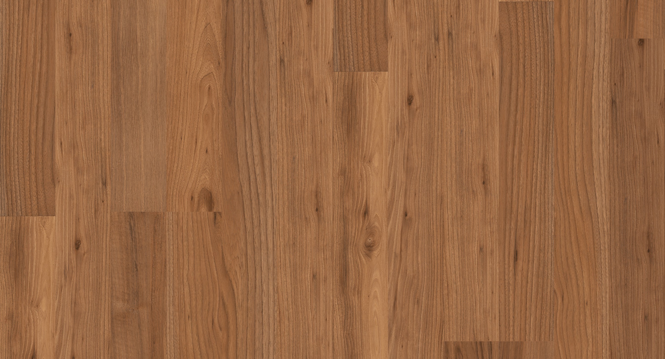 PARADOR Laminat Bergulme honig Schiffsboden 2-Stab Reliefstruktur | Classic 1050-4014809161646