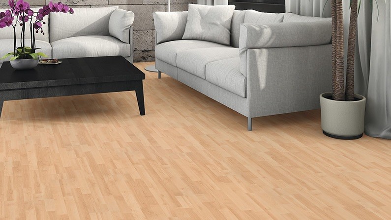 HARO Laminat Ahorn Akzent 3-Stab Tritty 75 | Paketangebot-